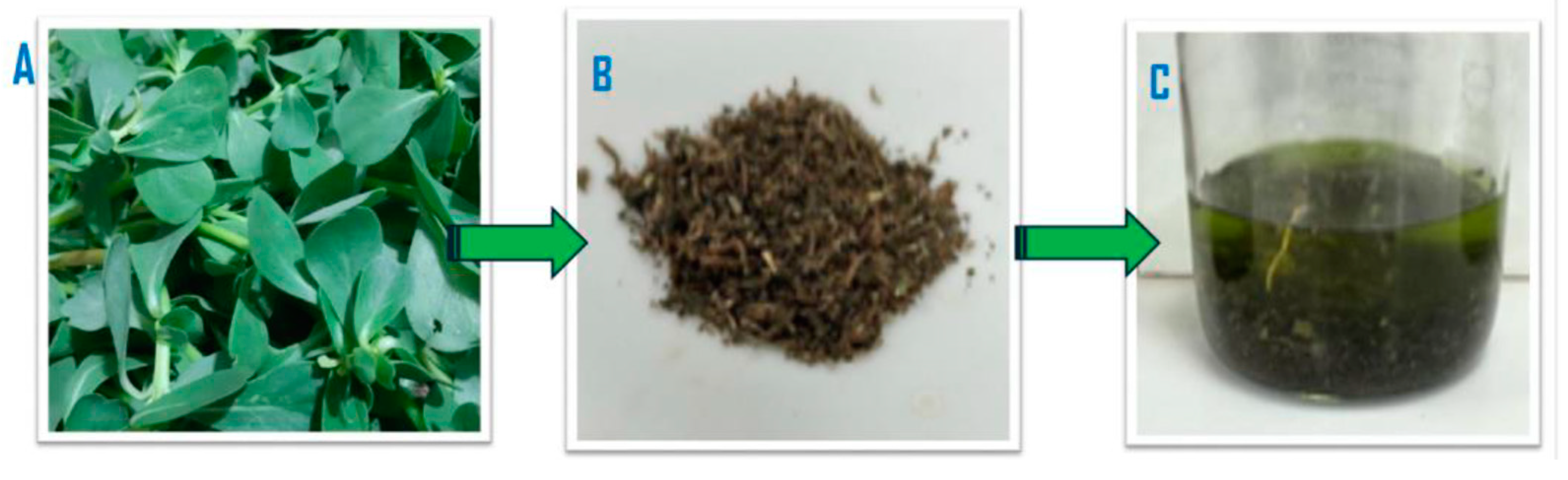 Pathogens 14 00163 g001