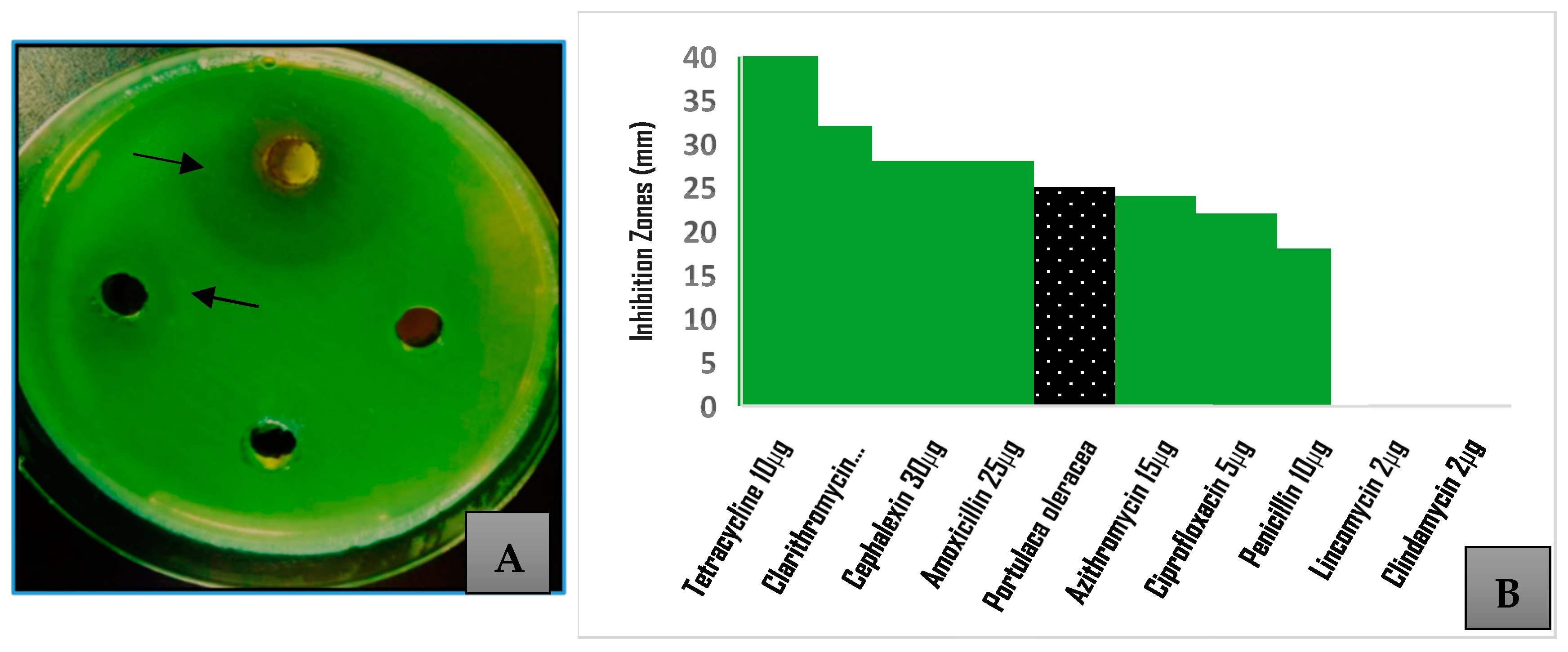 Pathogens 14 00163 g002