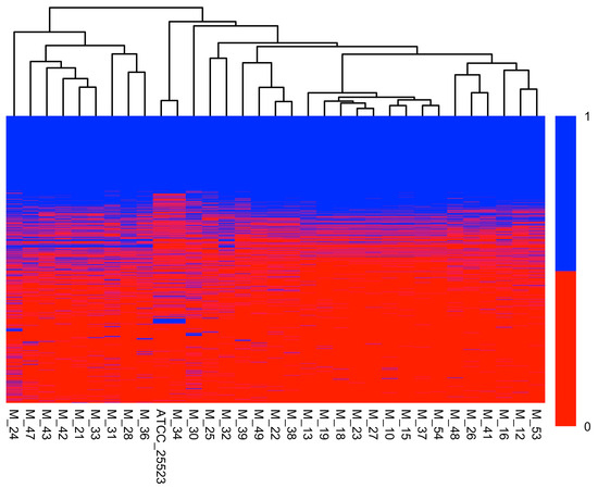 The Pathogenomics of the Respiratory Mycoplasma bovis Strains ...