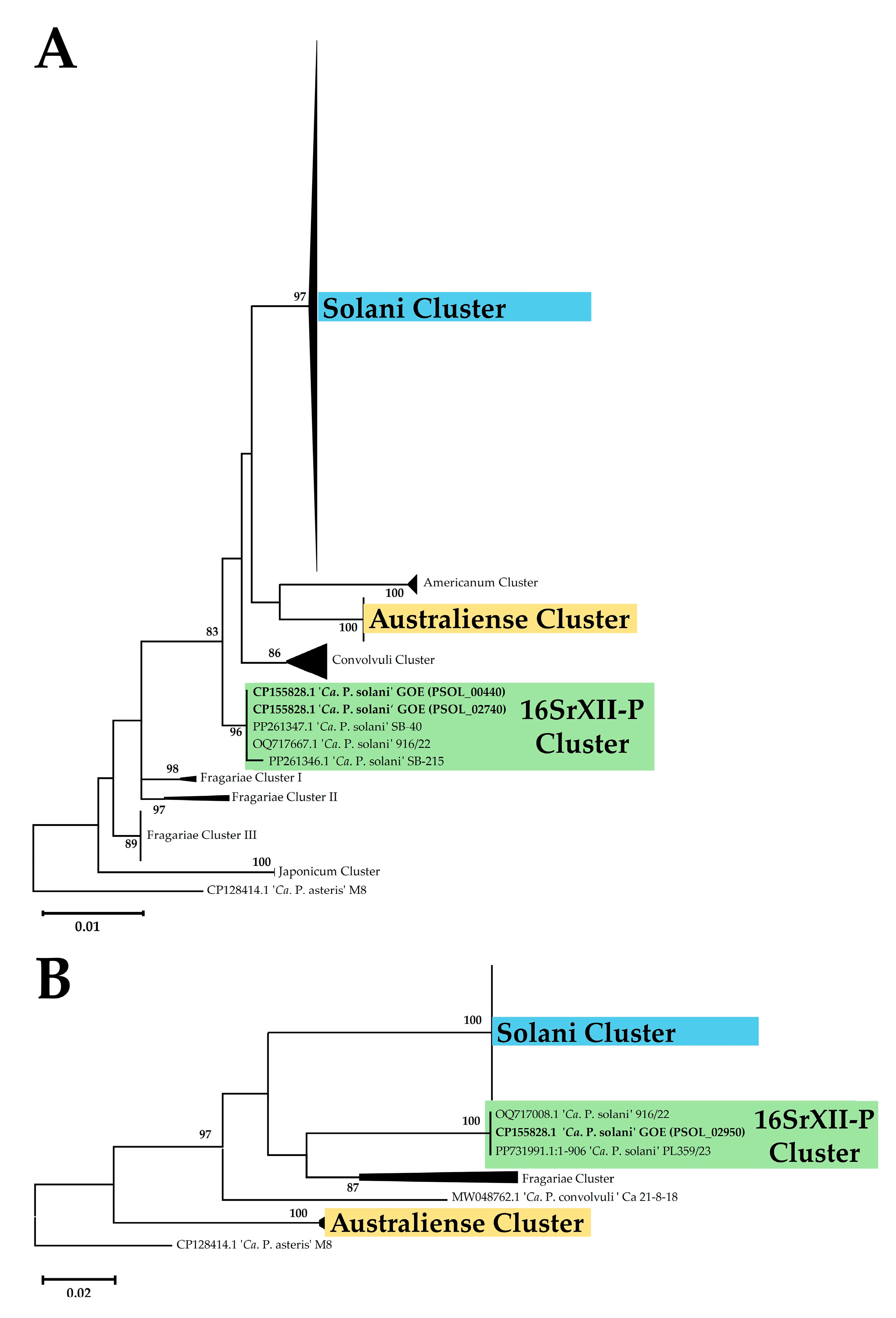 Pathogens 14 00180 g004