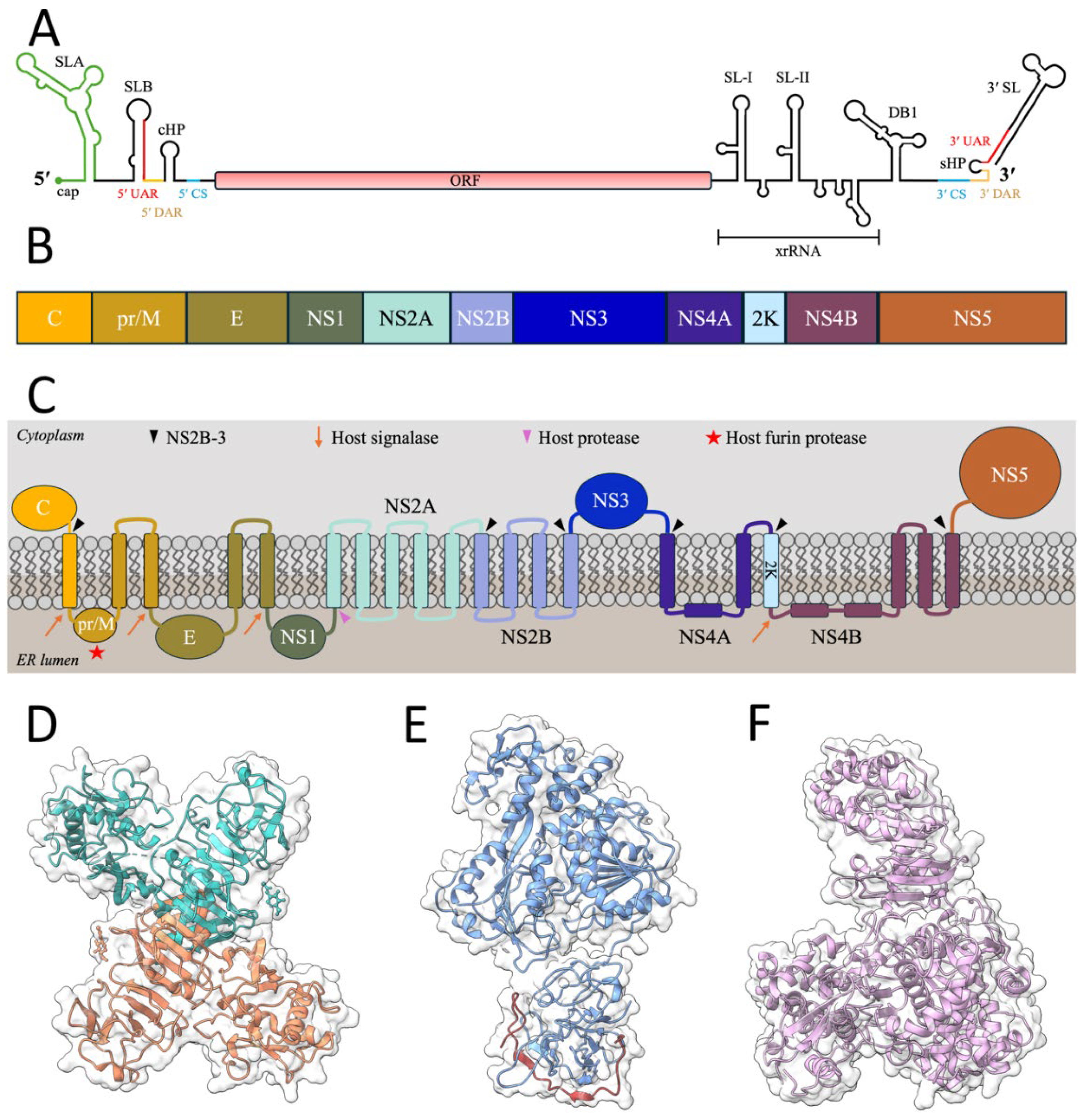 Pathogens 14 00184 g001