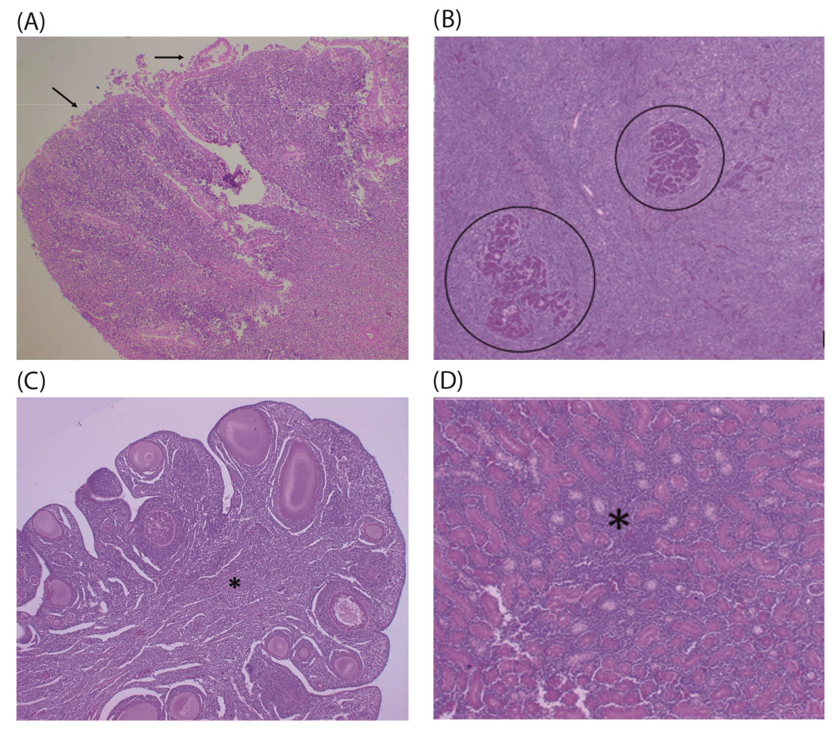 Pathogens 14 00189 g002 Pathogens 14 00189 g002