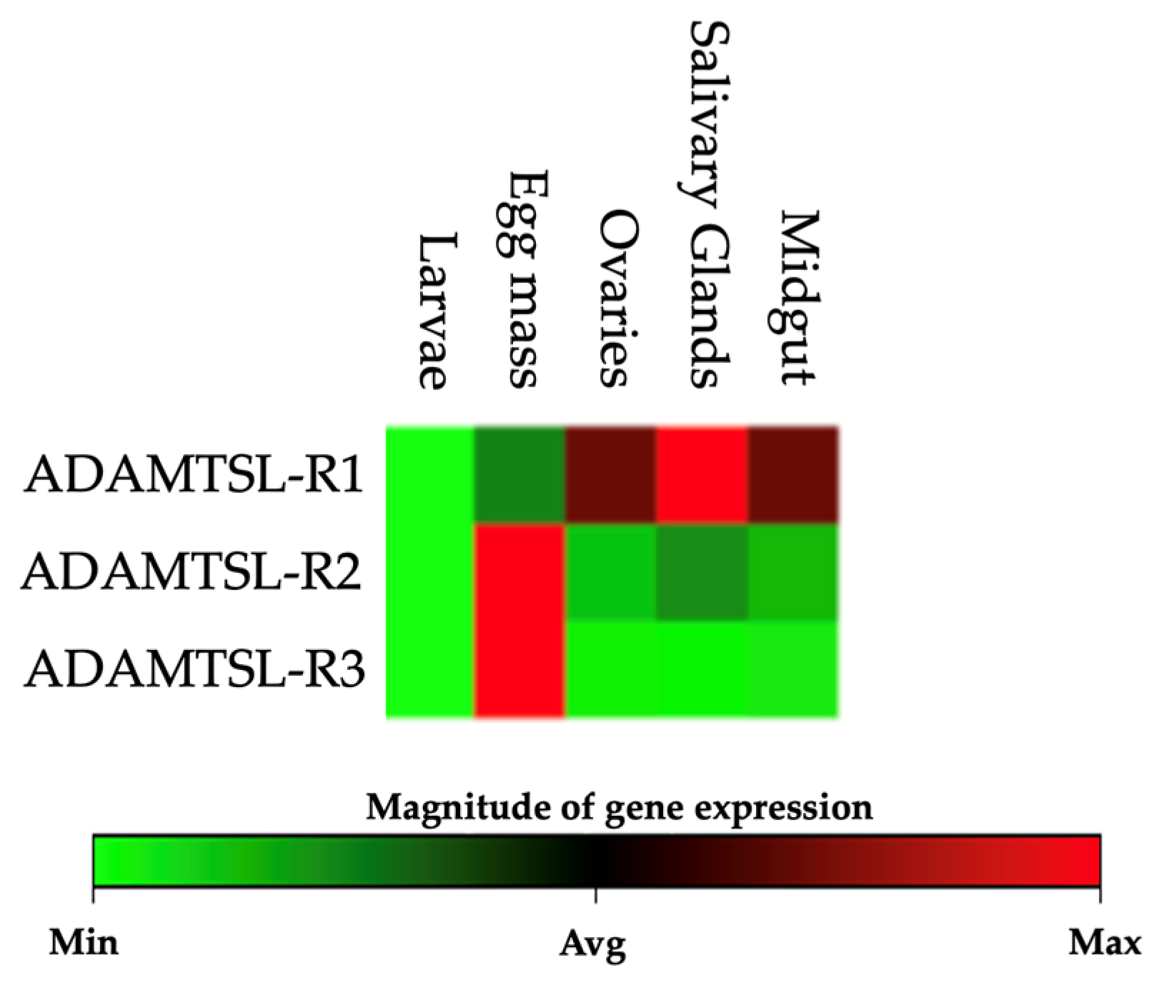 Pathogens 14 00190 g007 Pathogens 14 00190 g007