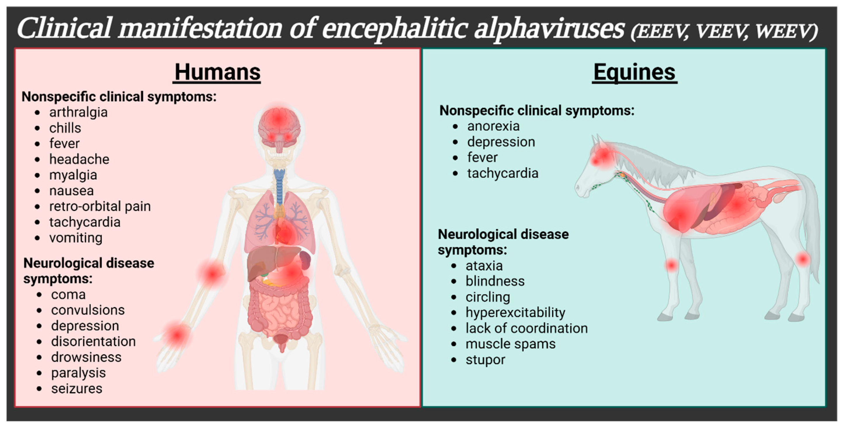 Pathogens 14 00193 g001
