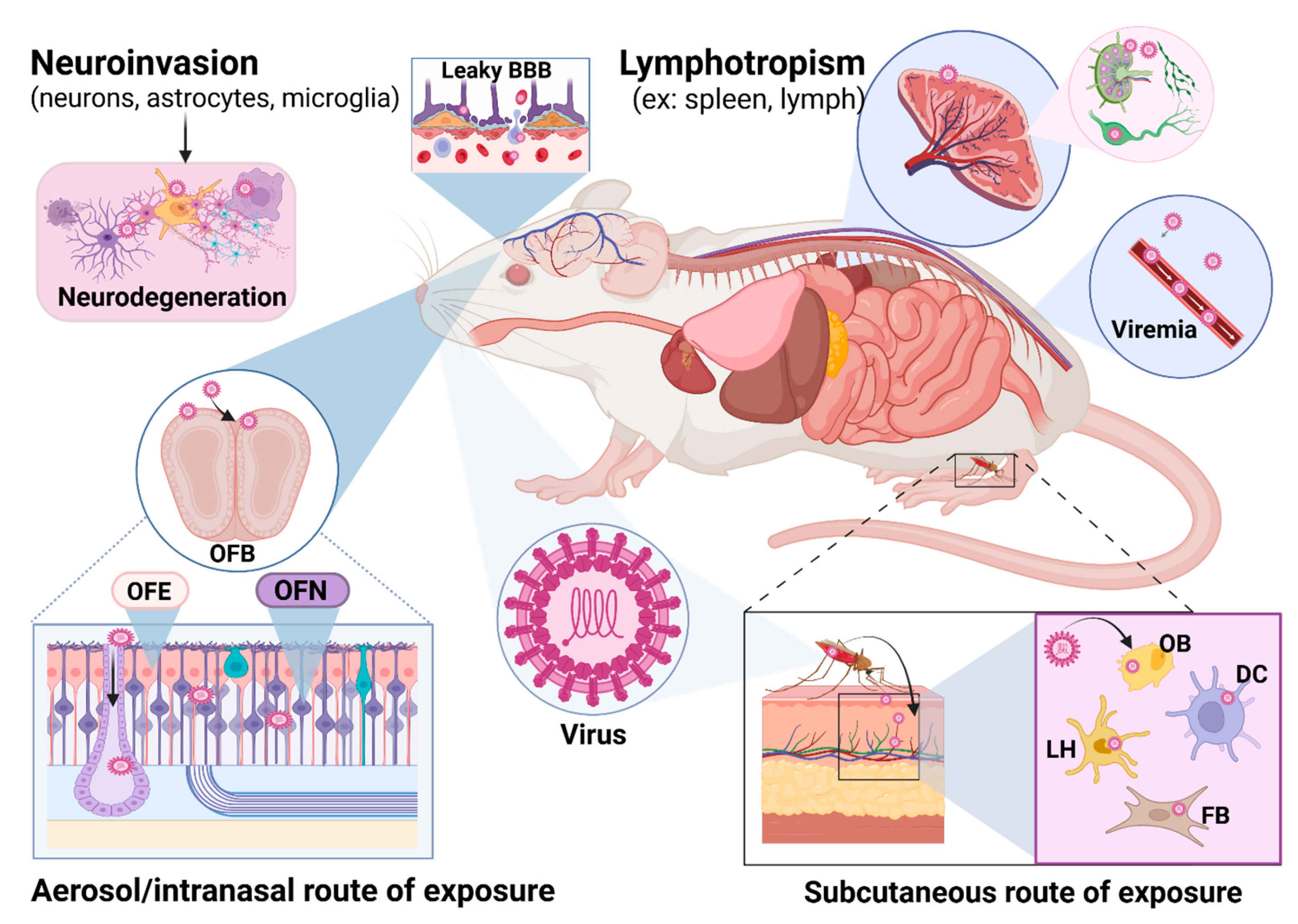 Pathogens 14 00193 g002
