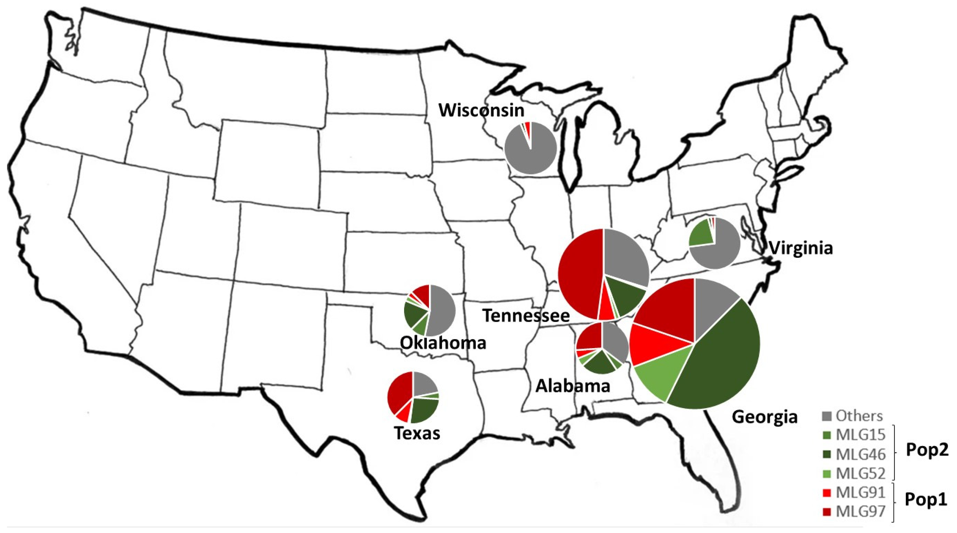 Pathogens 14 00194 g001