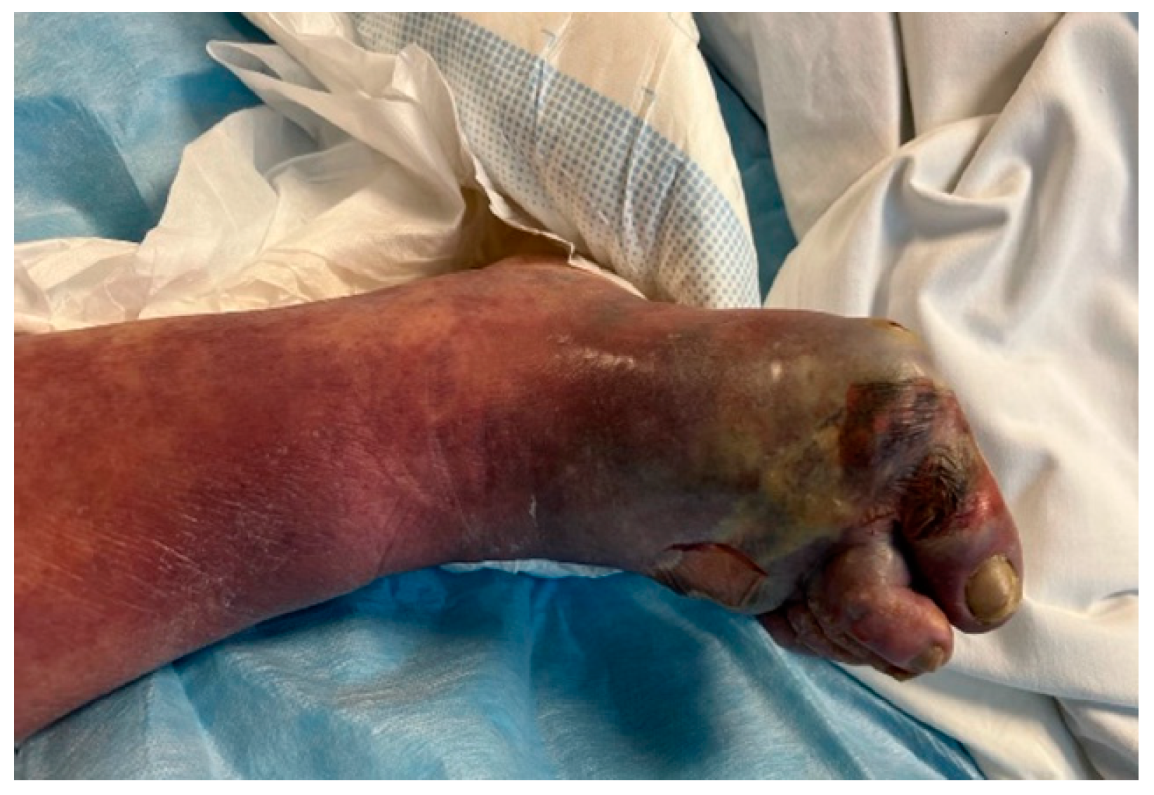 Pathogens 14 00199 g003