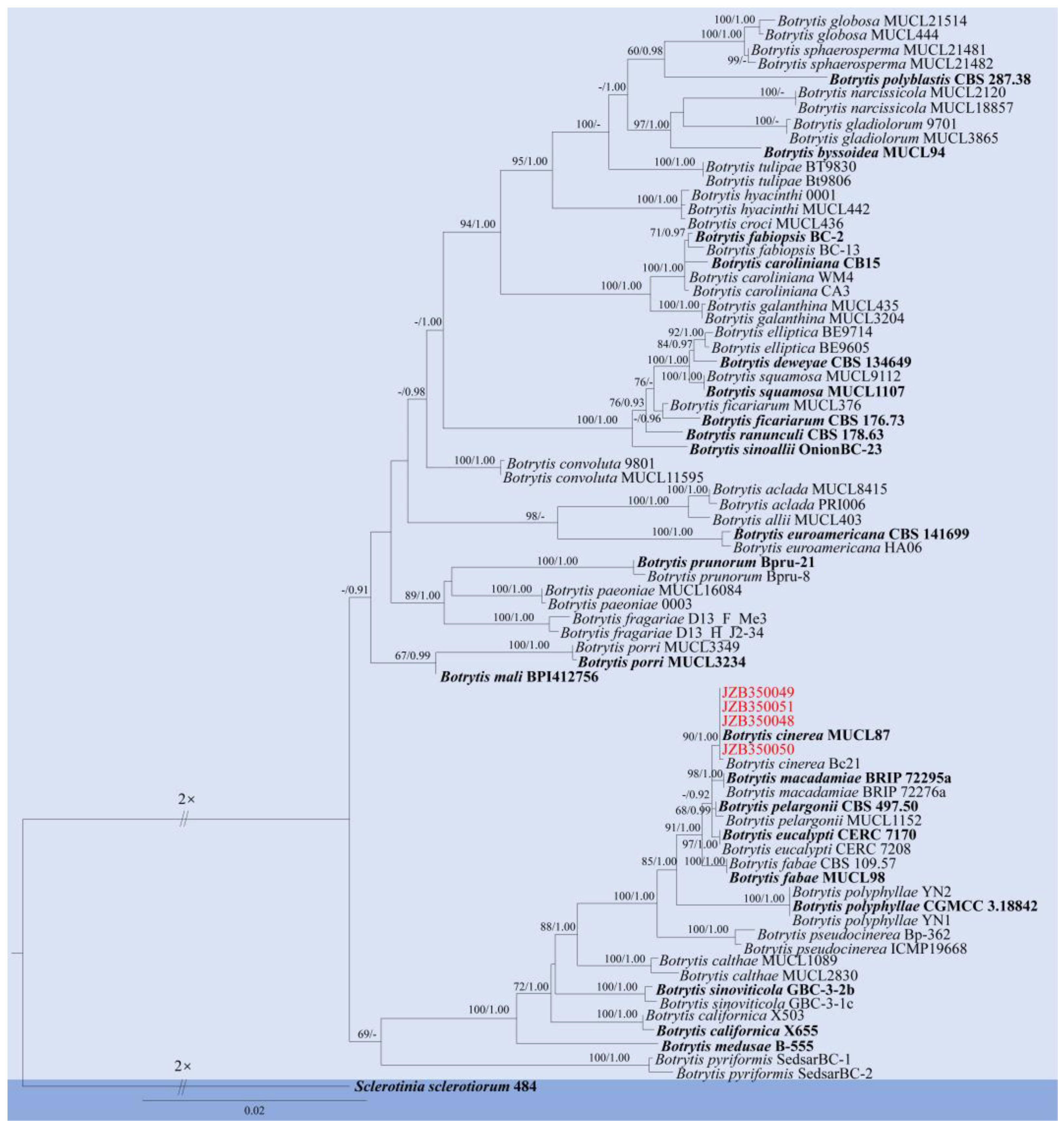 Pathogens 14 00201 g004