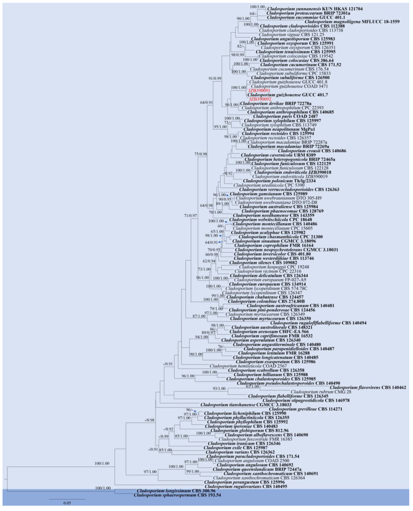 Pathogens 14 00201 g006