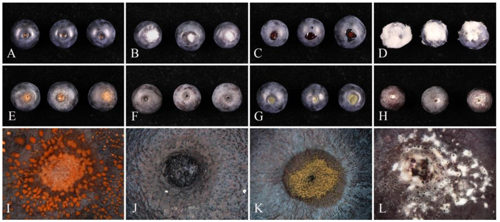 Pathogens 14 00201 g016