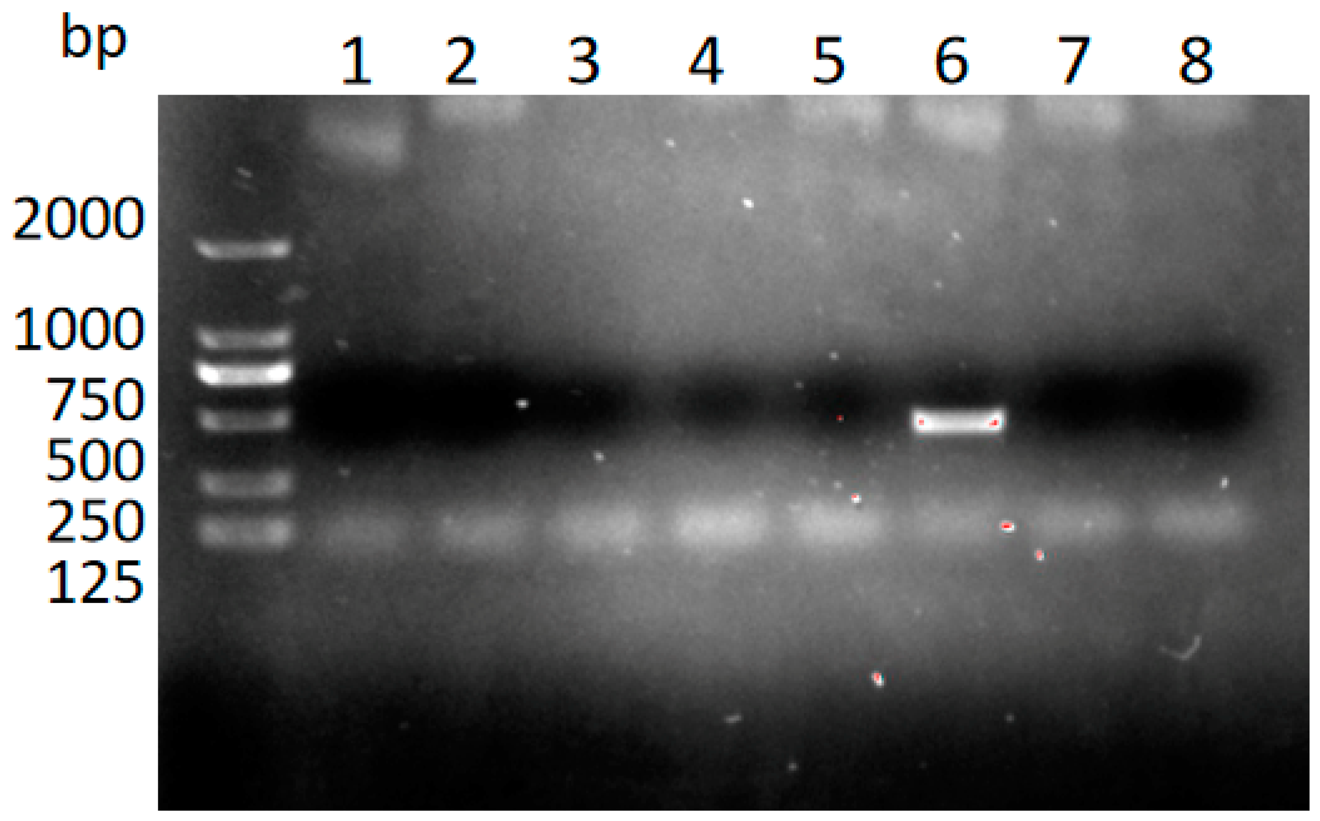 Pathogens 14 00202 g005
