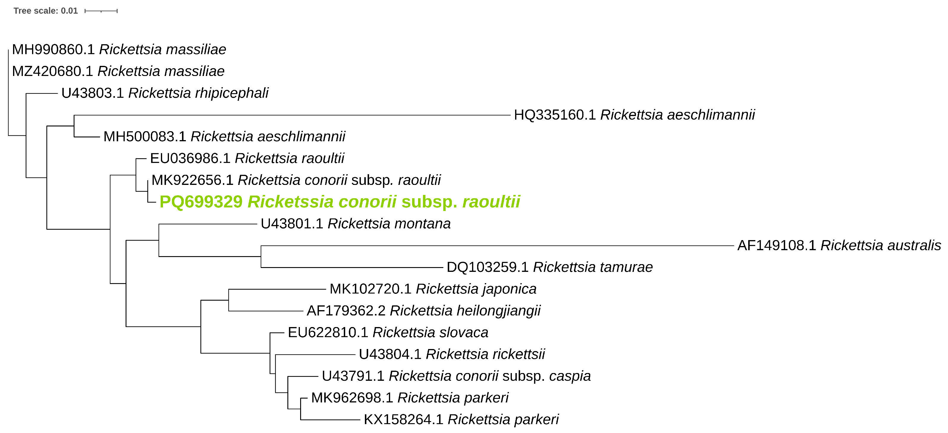 Pathogens 14 00204 g002