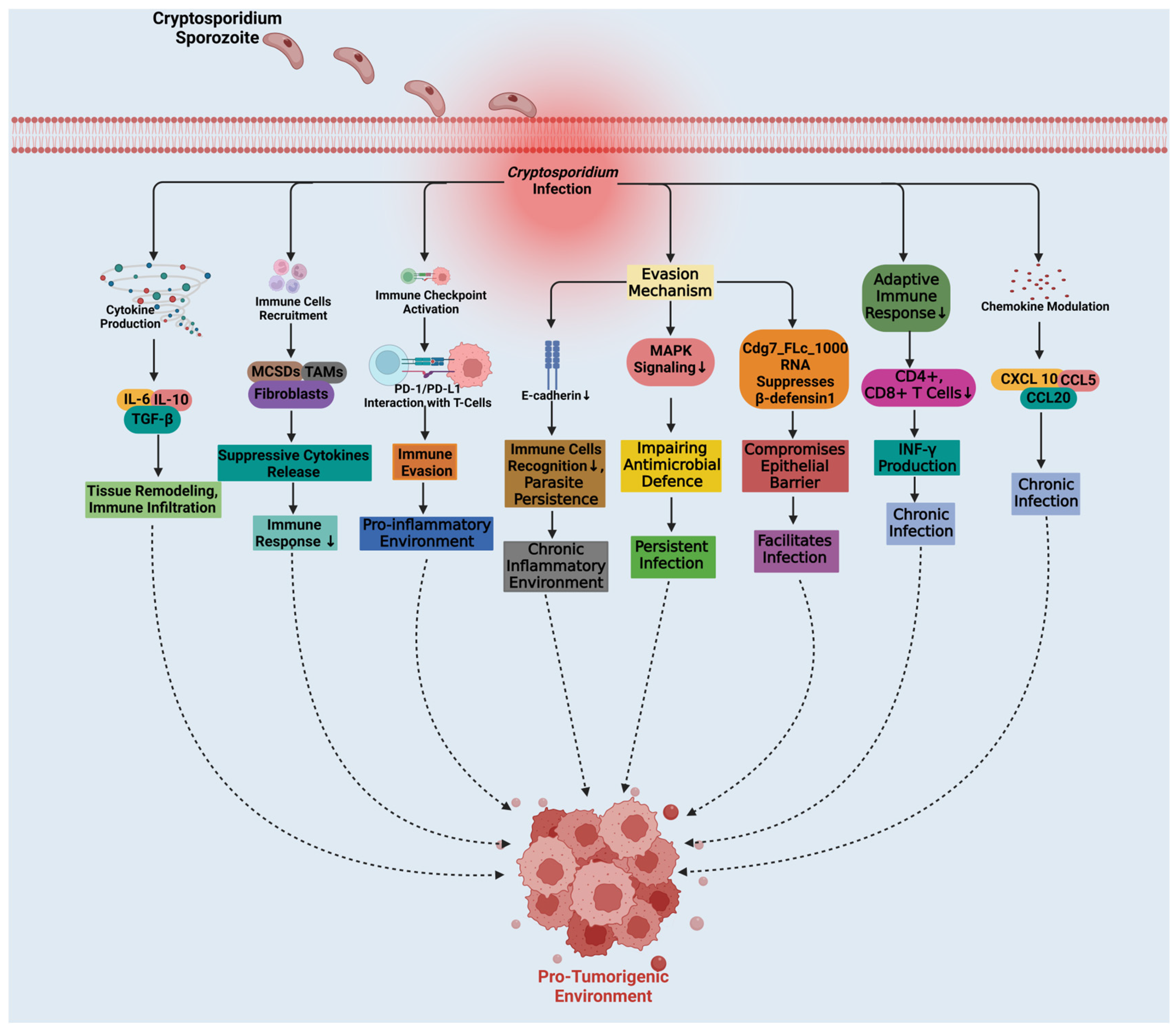Pathogens 14 00208 g004