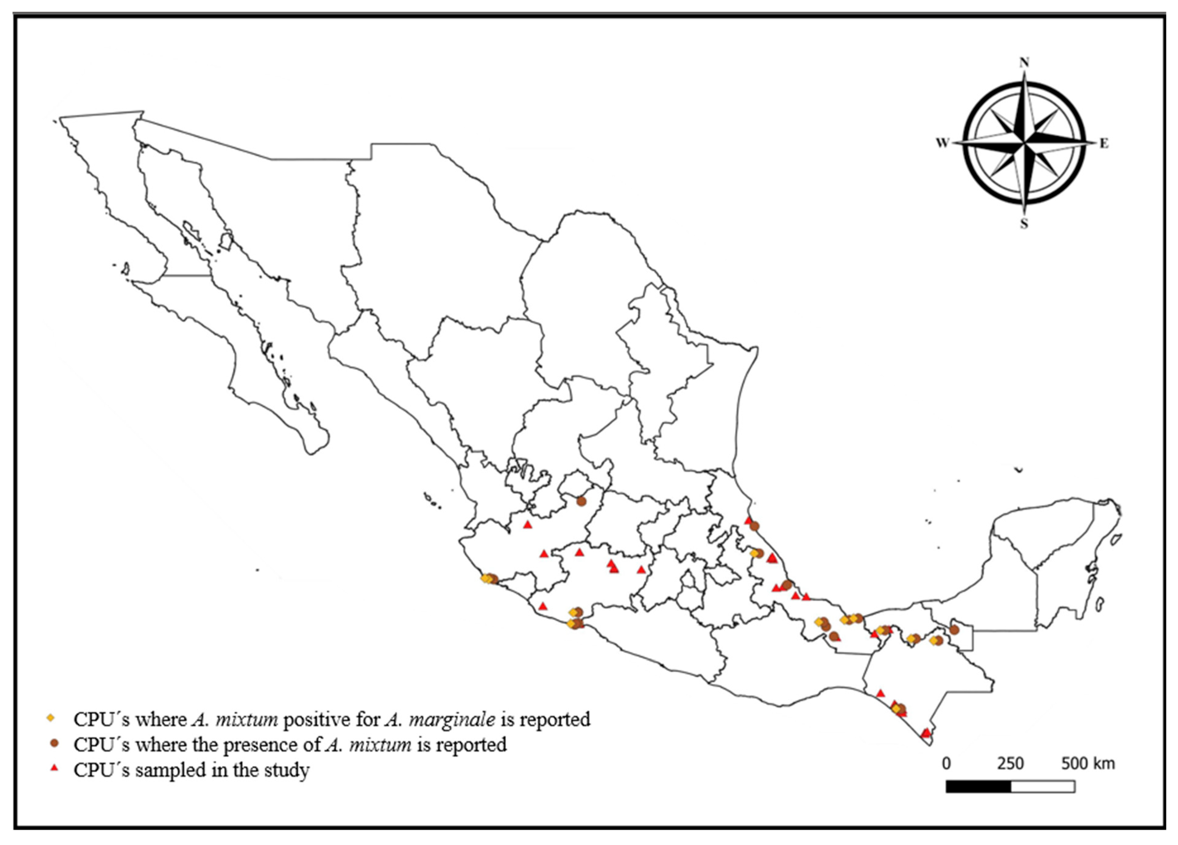 Pathogens 14 00214 g001