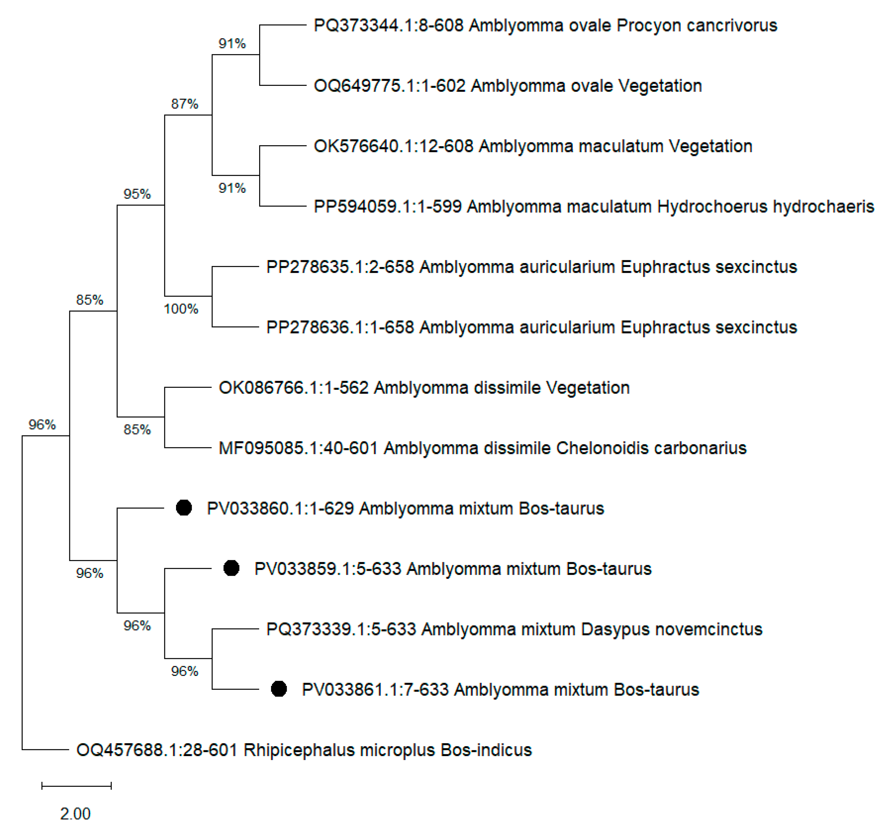 Pathogens 14 00214 g003