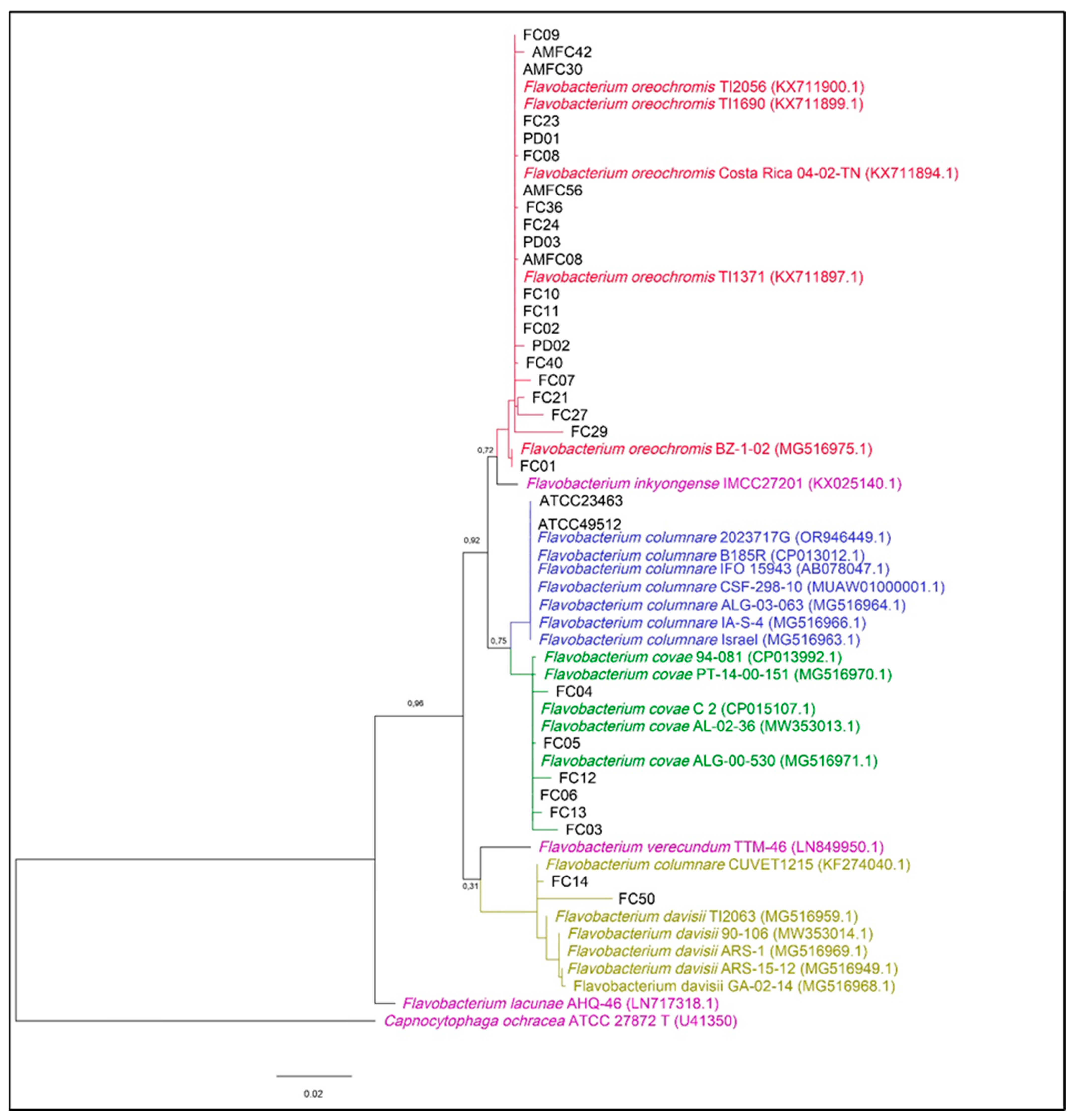 Pathogens 14 00219 g001