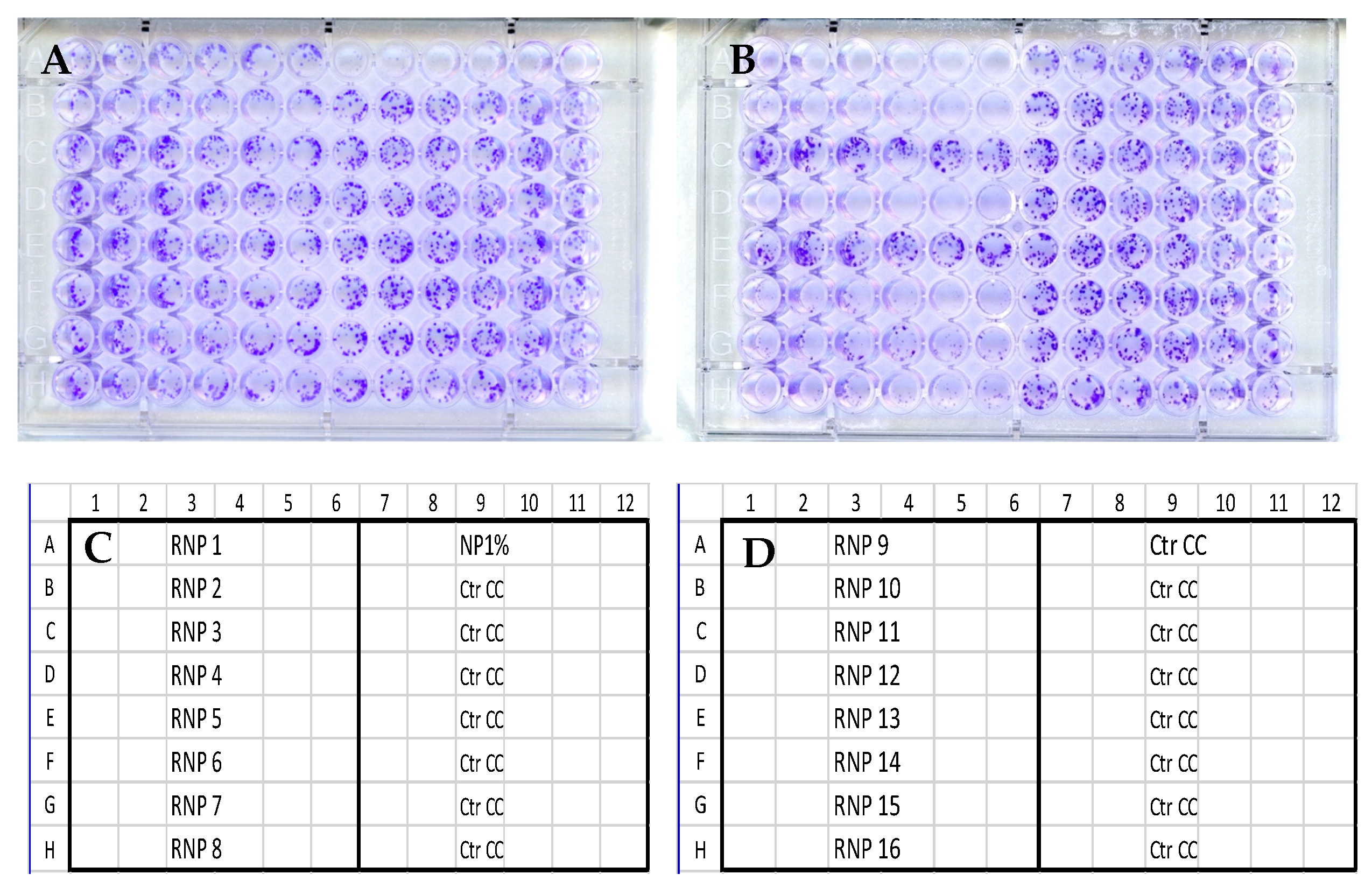 Pathogens 14 00221 g001