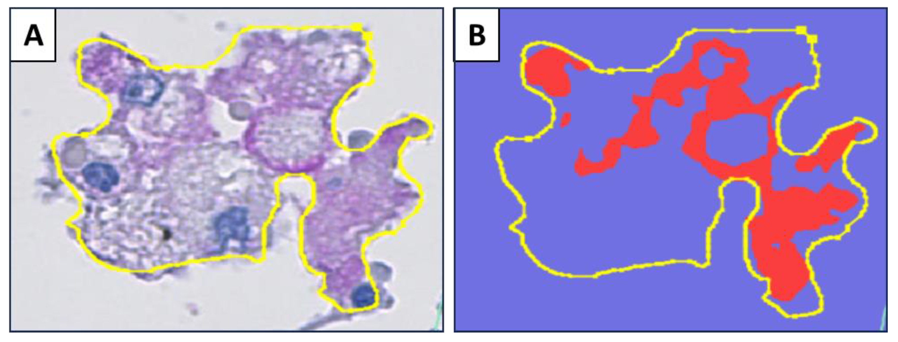 Pathogens 14 00224 g002 Pathogens 14 00224 g002