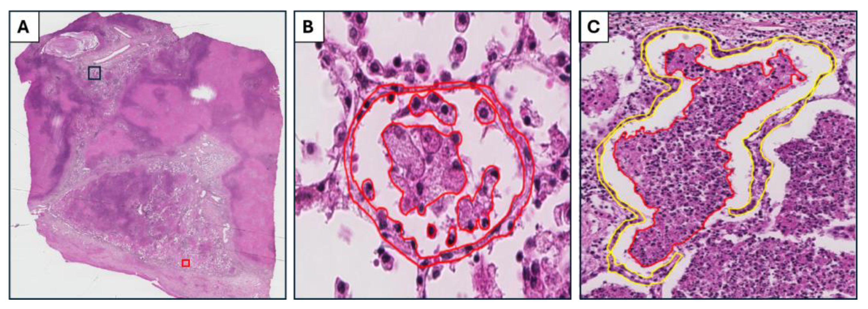 Pathogens 14 00224 g004 Pathogens 14 00224 g004