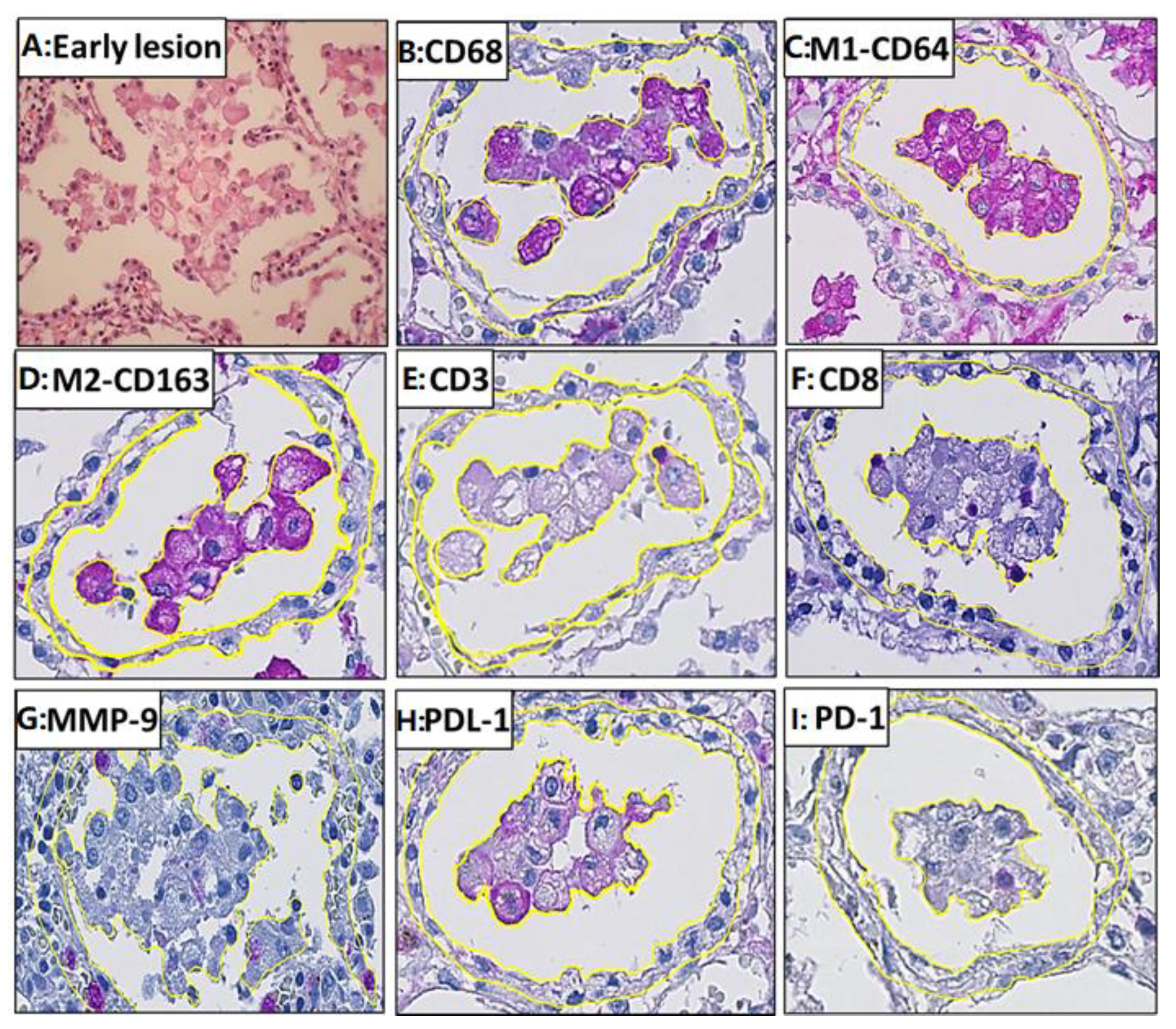 Pathogens 14 00224 g005 Pathogens 14 00224 g005