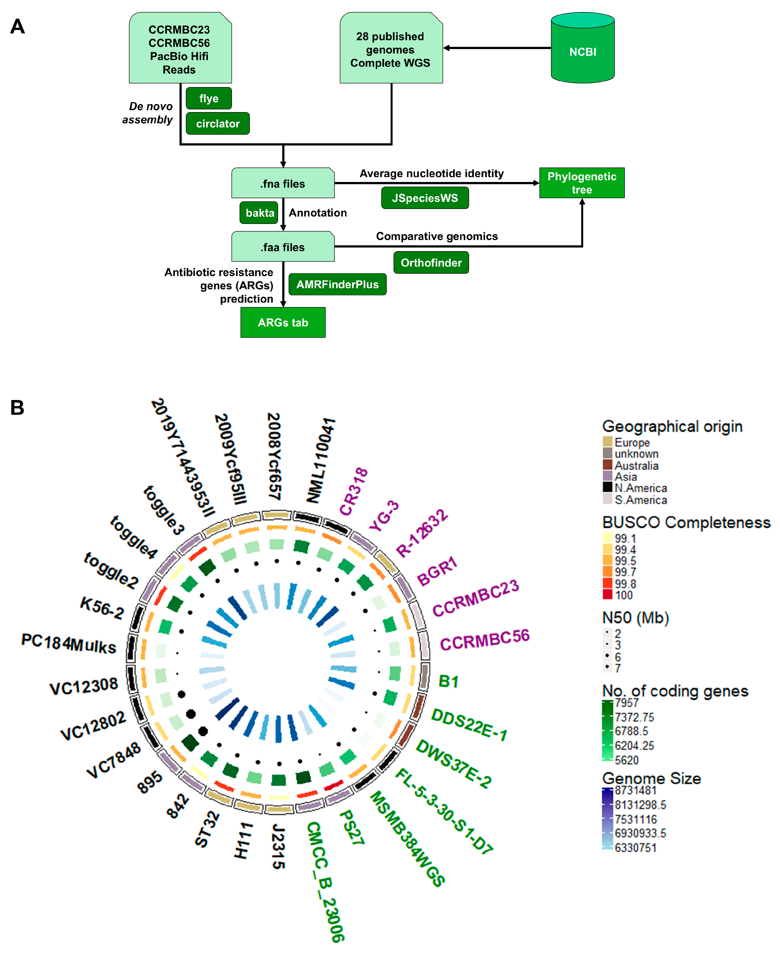 Pathogens 14 00226 g001