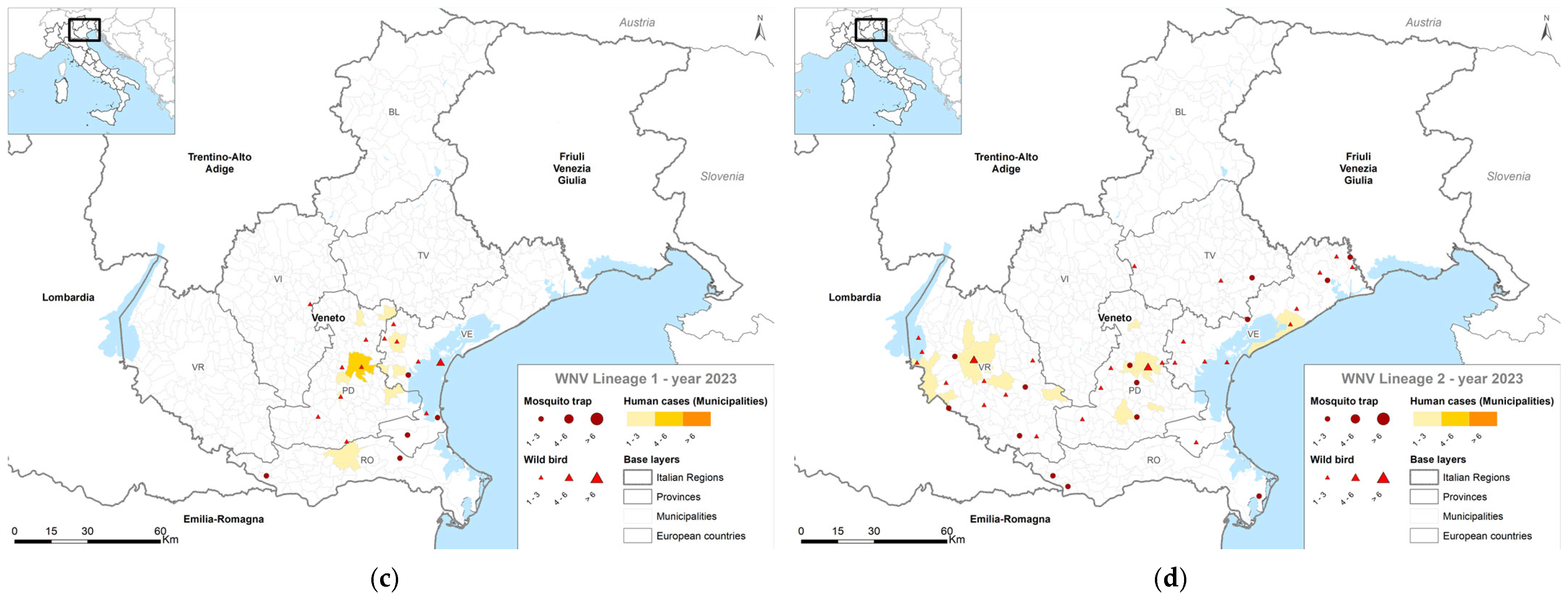 Pathogens 14 00227 g004b Pathogens 14 00227 g004b