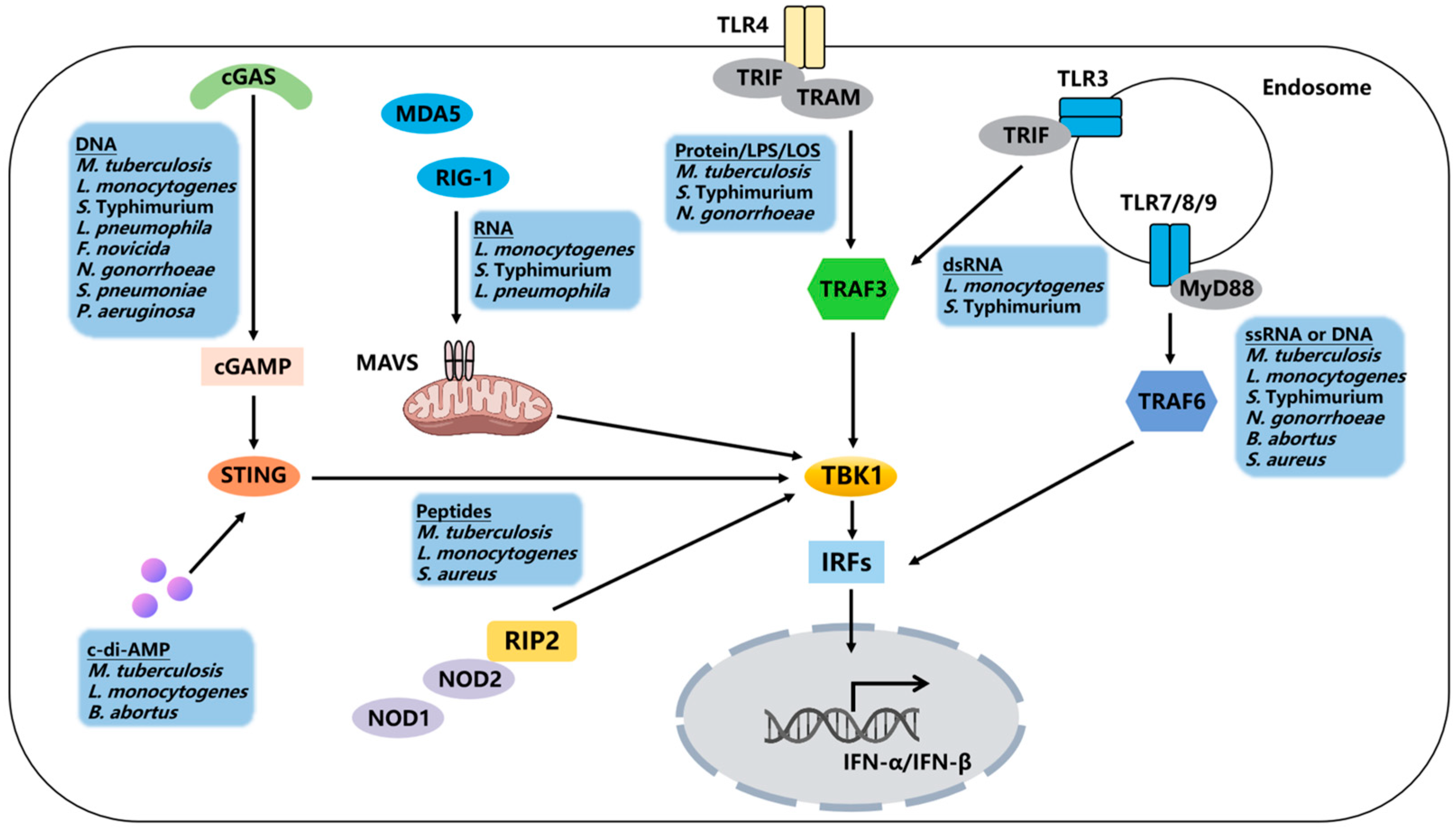 Pathogens 14 00229 g001 Pathogens 14 00229 g001