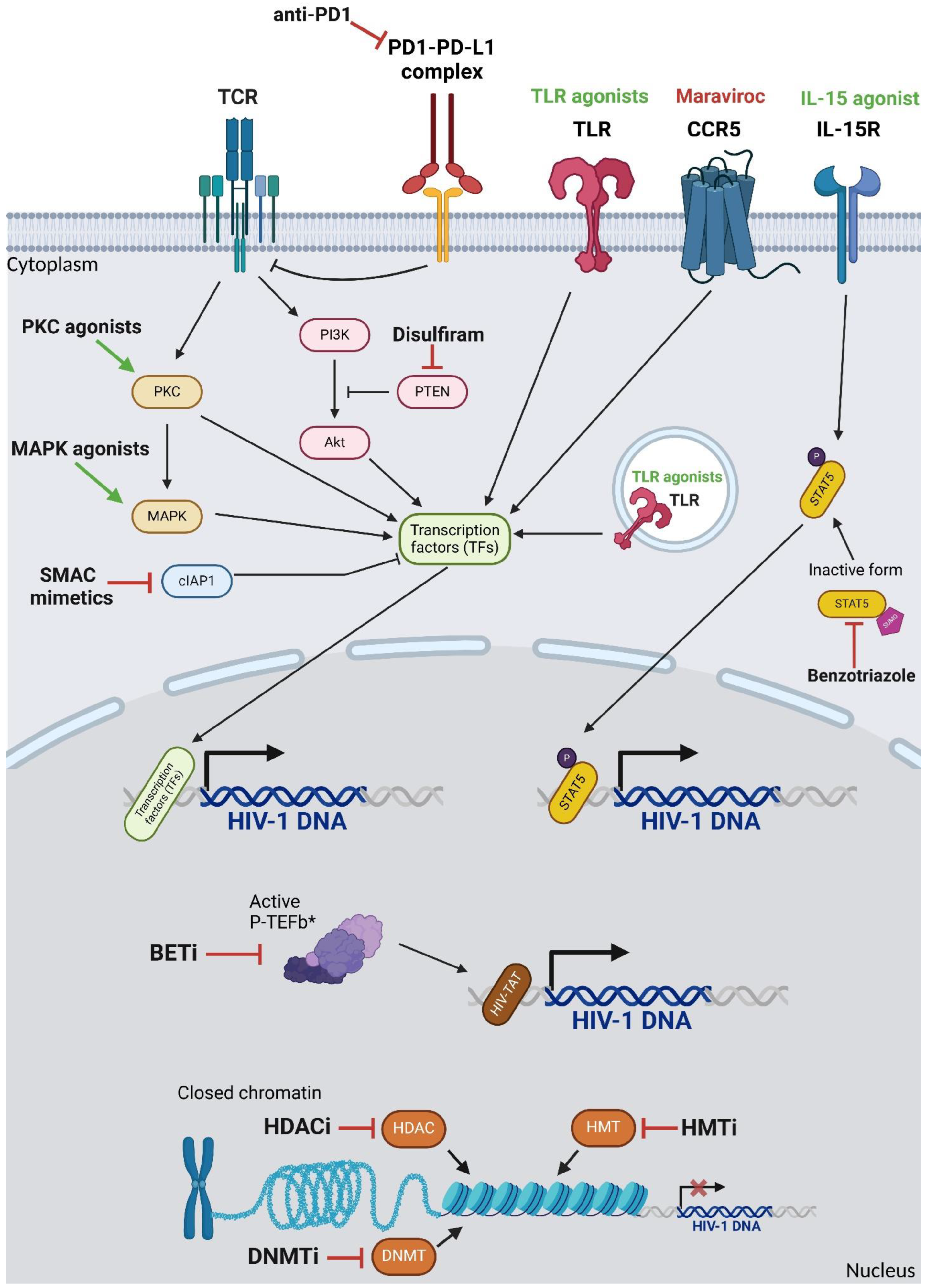 Pathogens 14 00232 g001