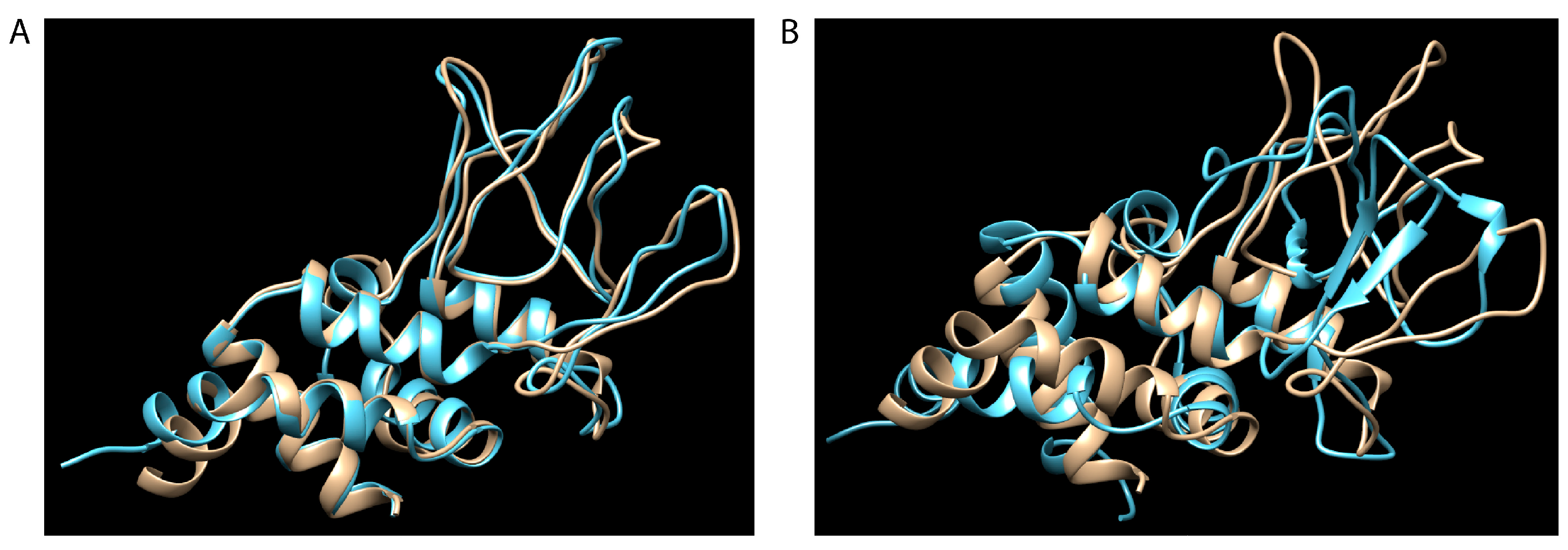 Pathogens 14 00233 g004 Pathogens 14 00233 g004