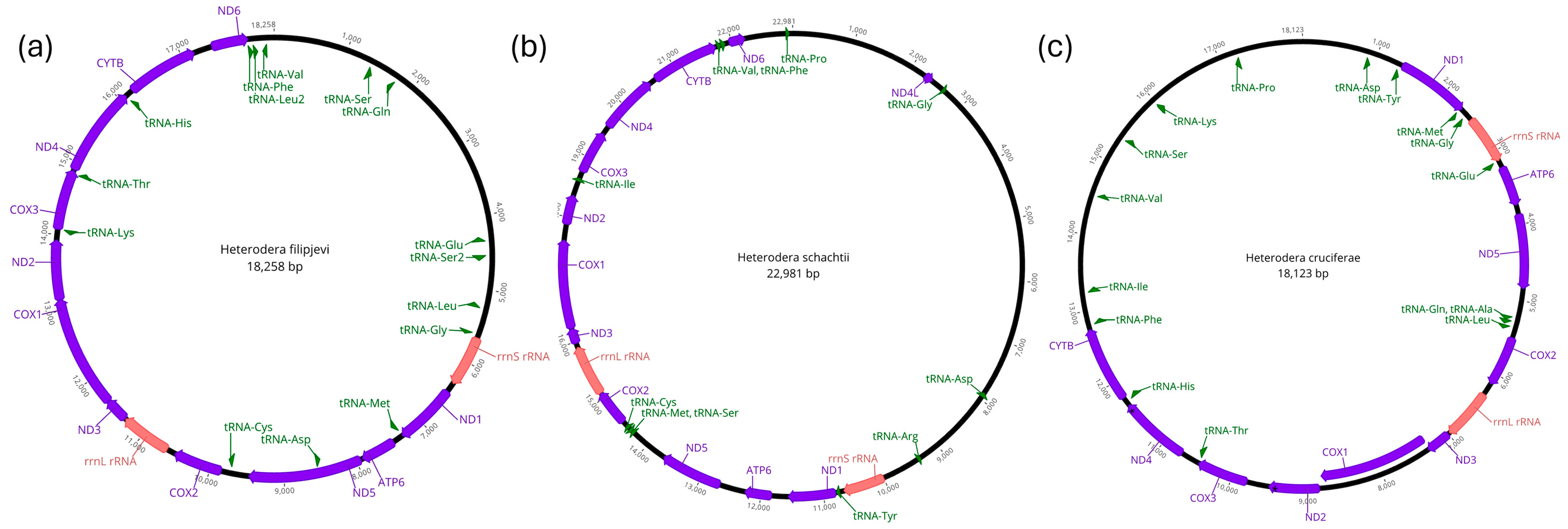 Pathogens 14 00234 g001