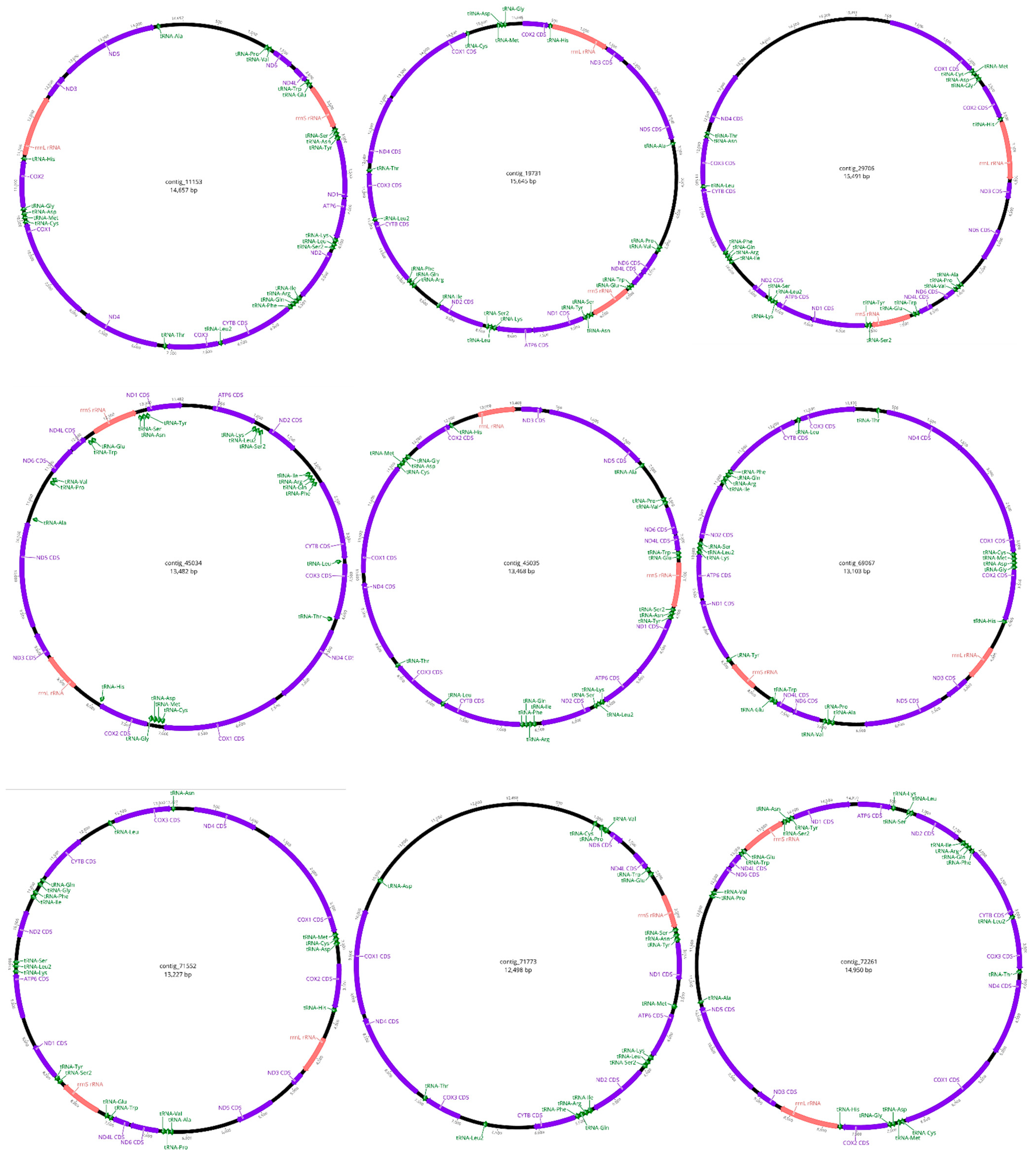 Pathogens 14 00234 g003