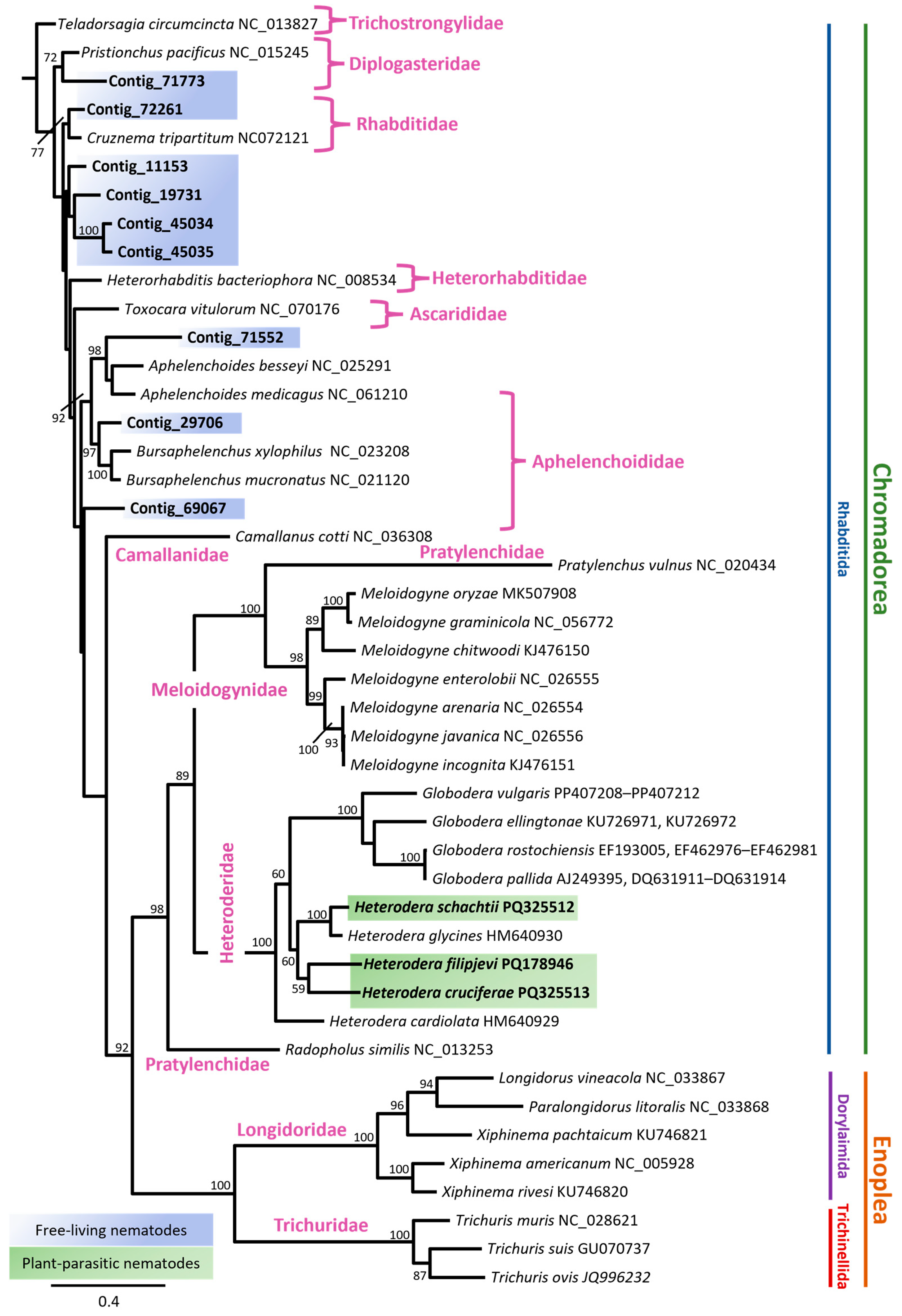 Pathogens 14 00234 g005