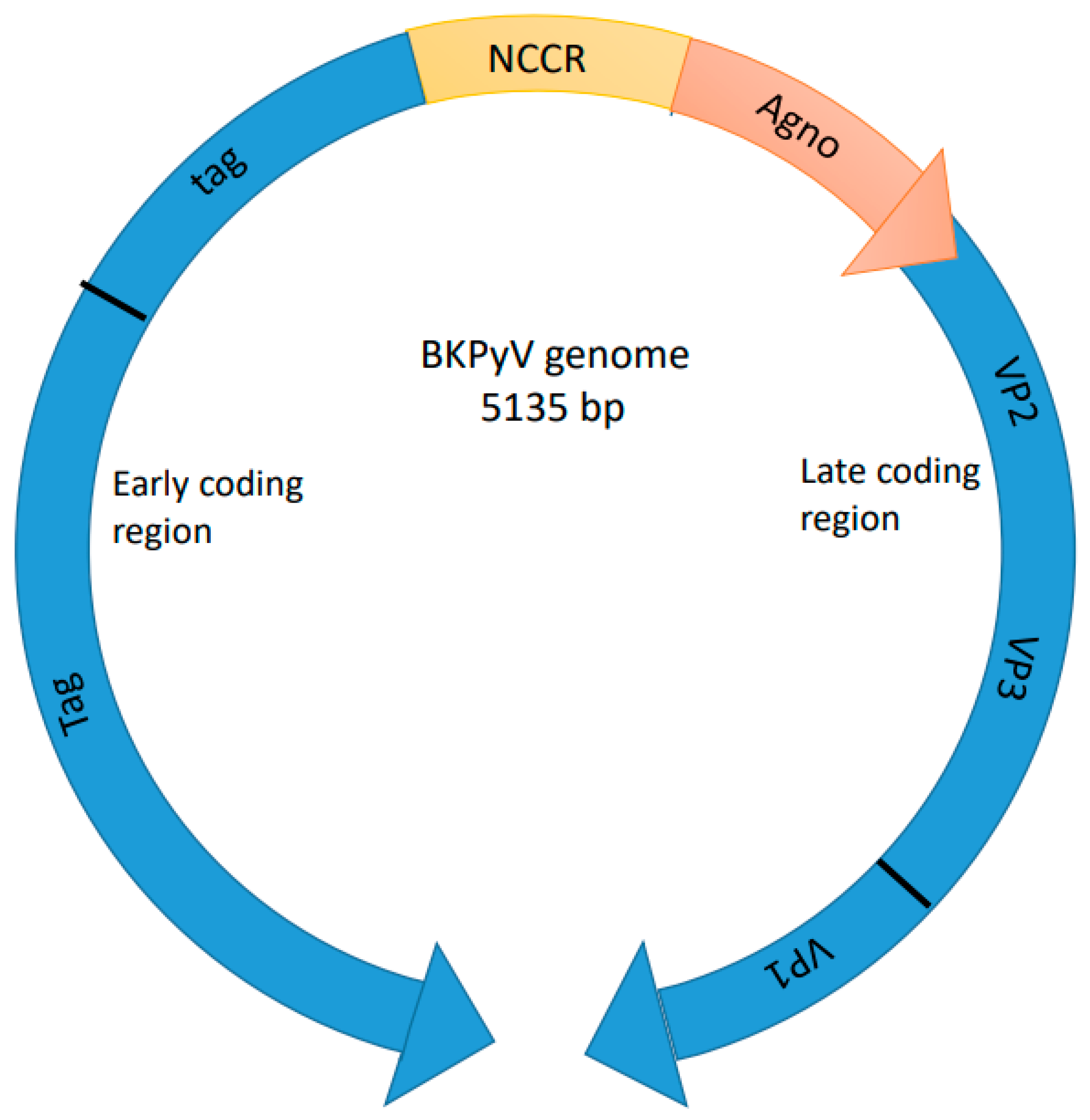 Pathogens 14 00236 g001 Pathogens 14 00236 g001