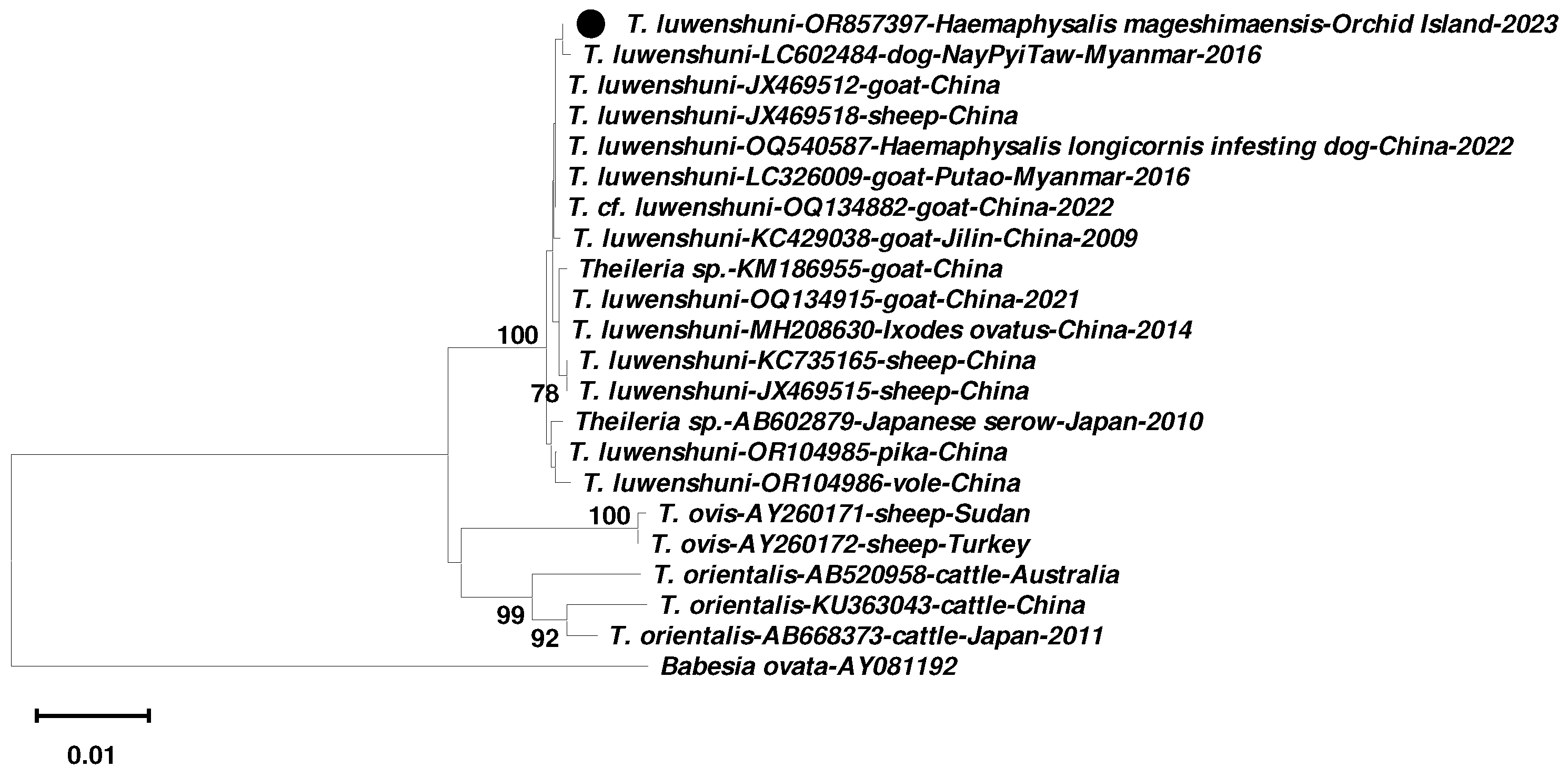 Pathogens 14 00241 g002