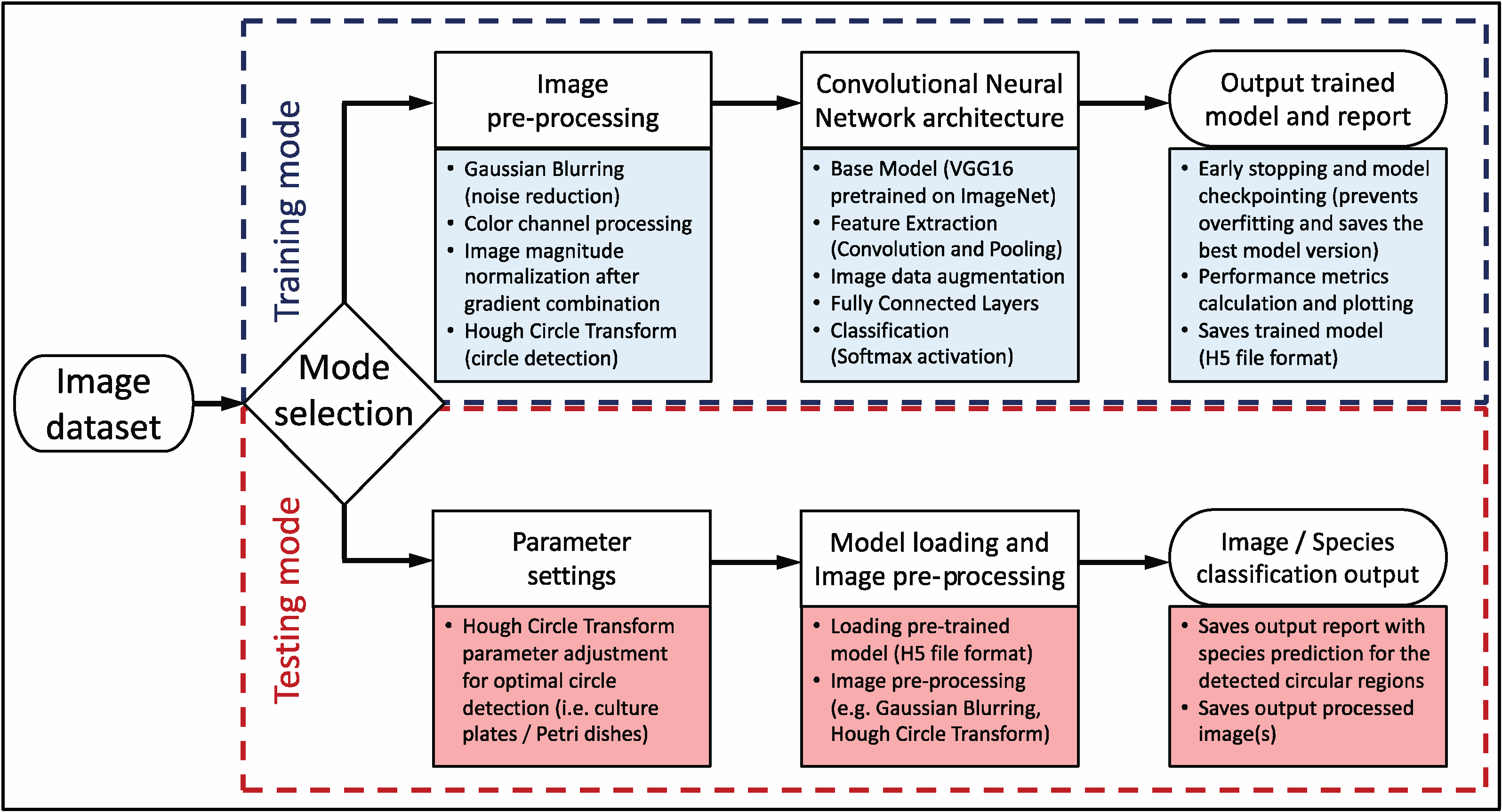 Pathogens 14 00242 g001