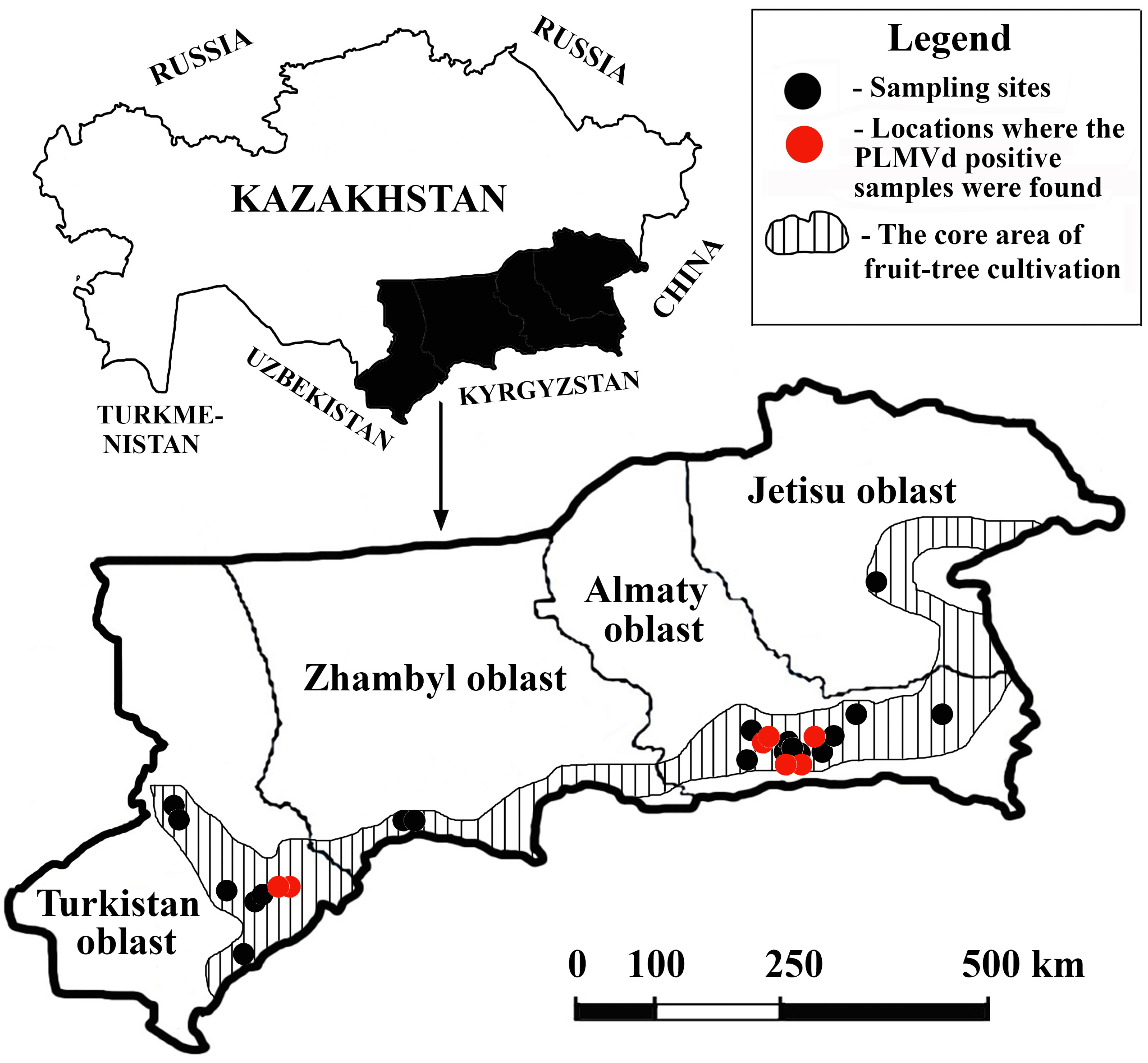 Pathogens 14 00243 g001