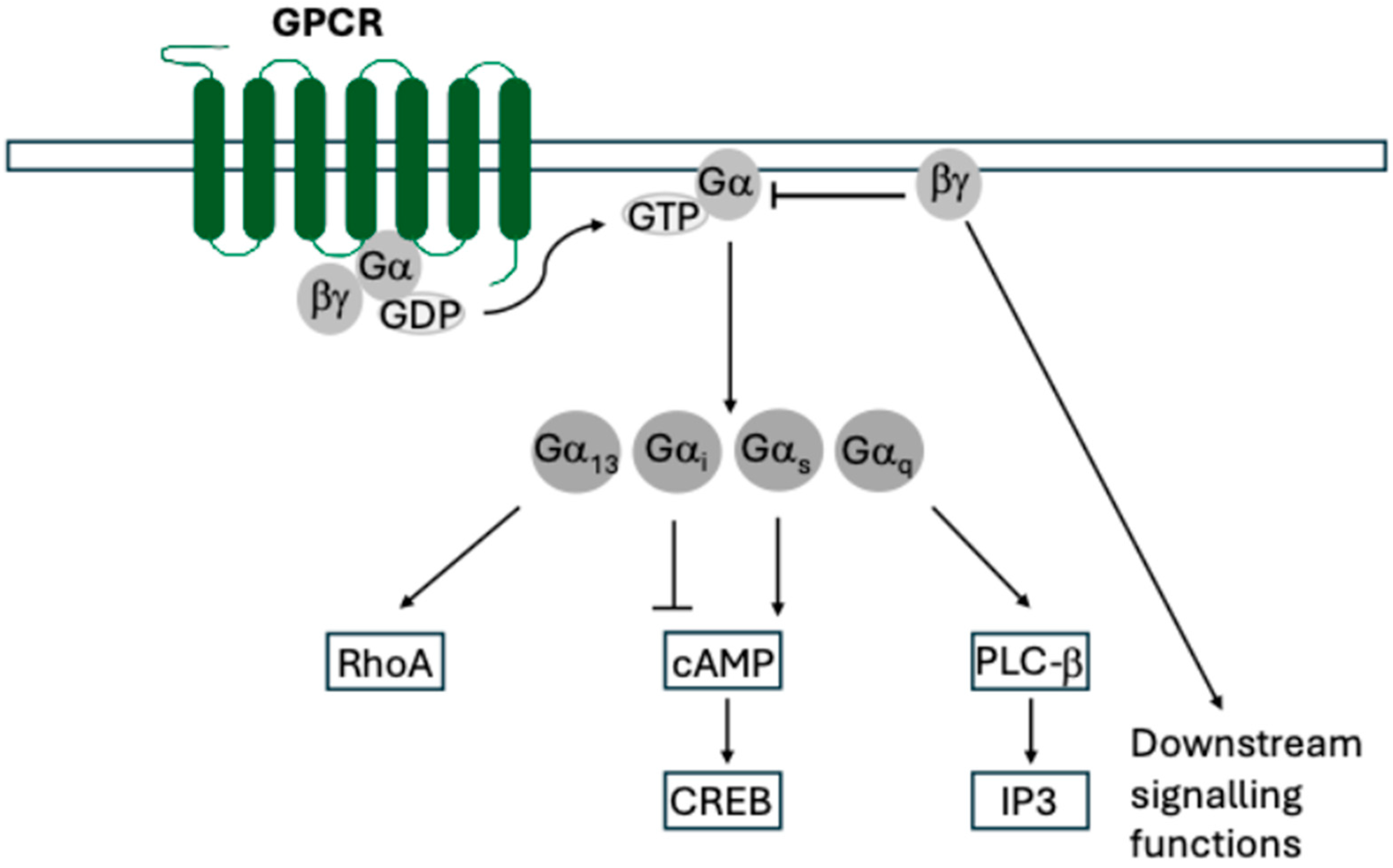 Pathogens 14 00245 g001