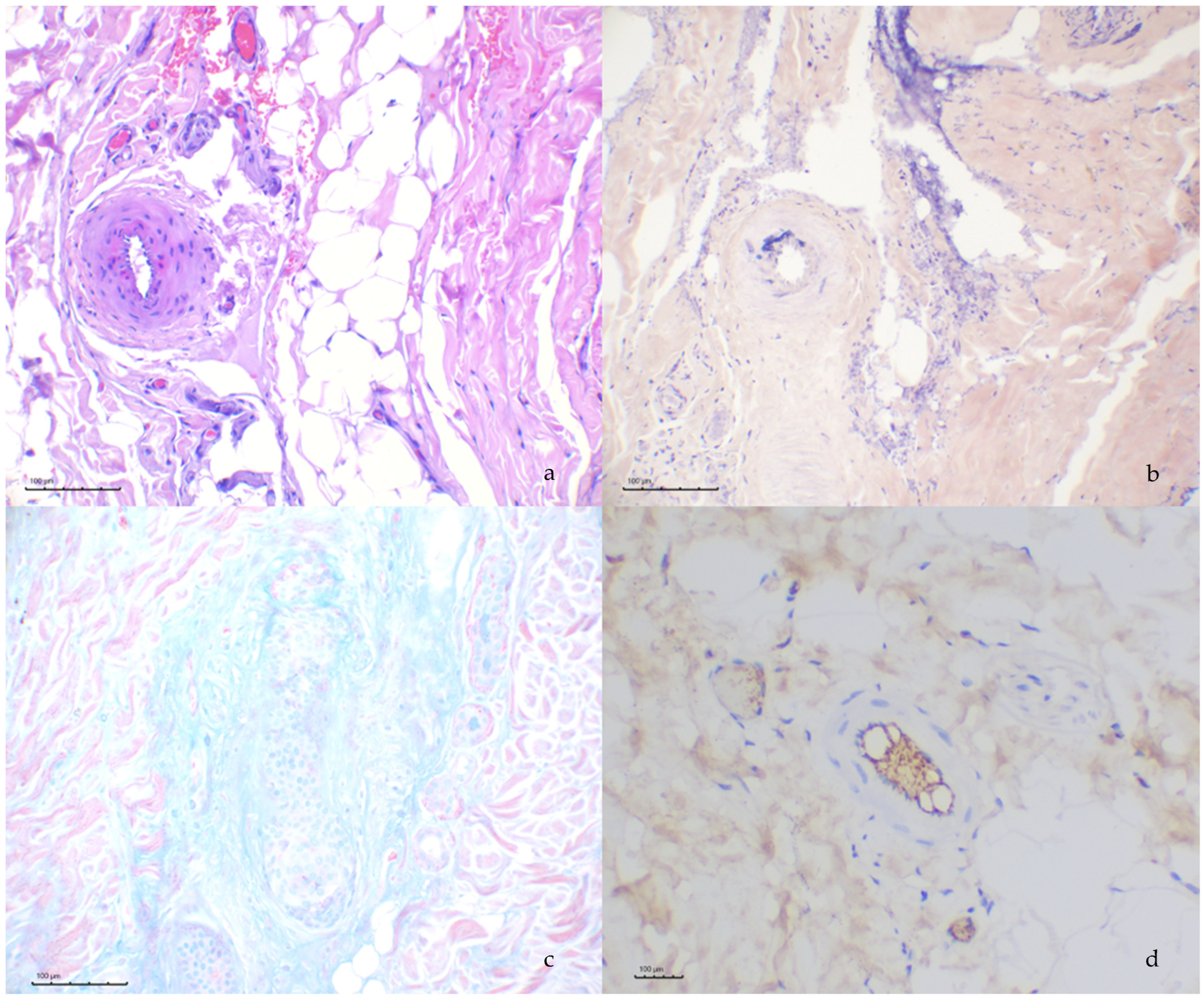 Pathogens 14 00246 g003
