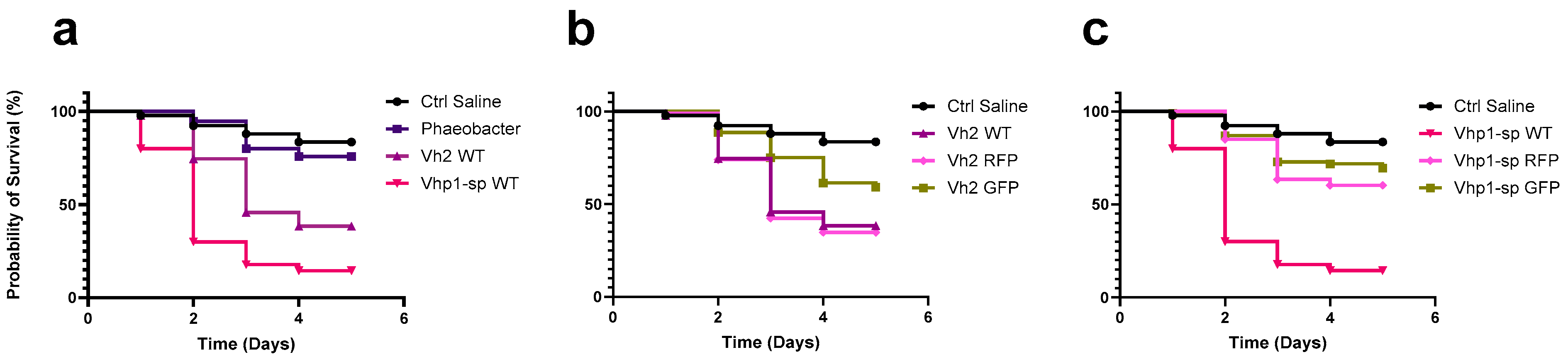 Pathogens 14 00247 g003
