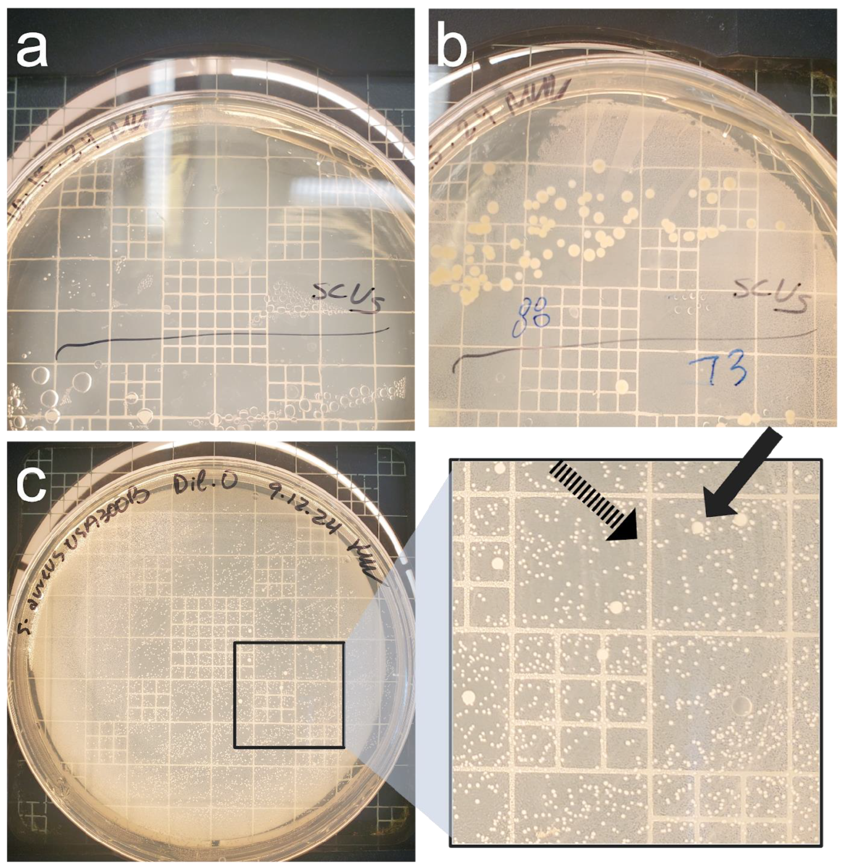 Pathogens 14 00251 g003
