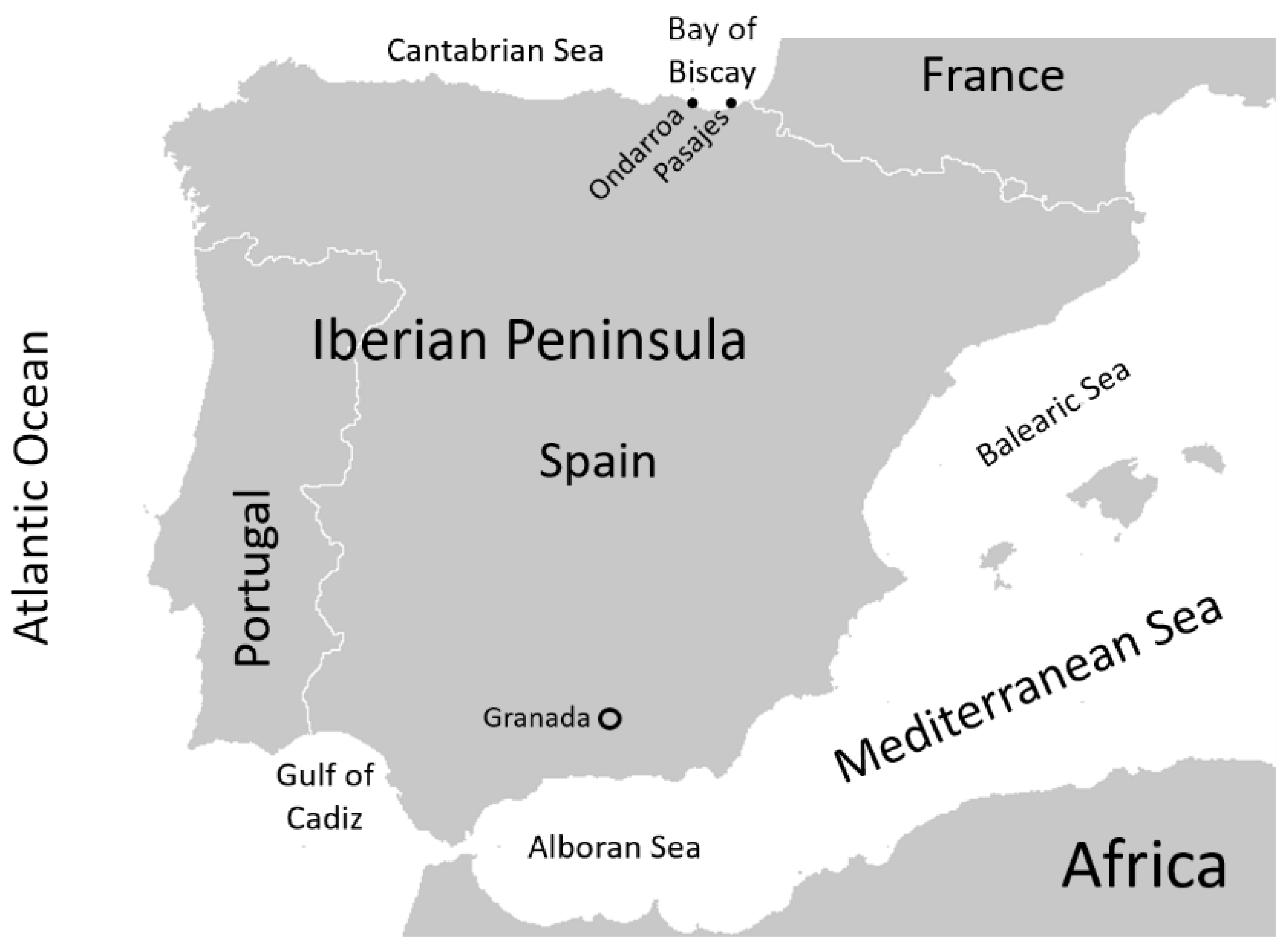 Pathogens 14 00252 g001