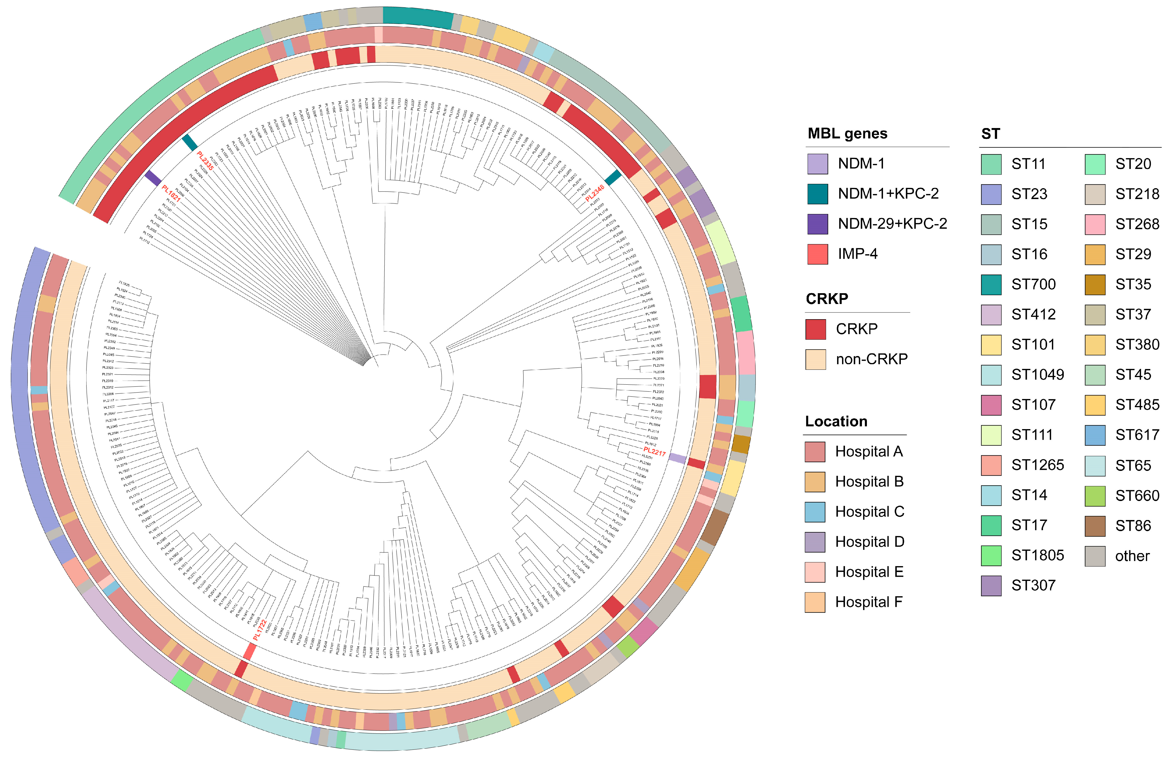 Pathogens 14 00253 g001