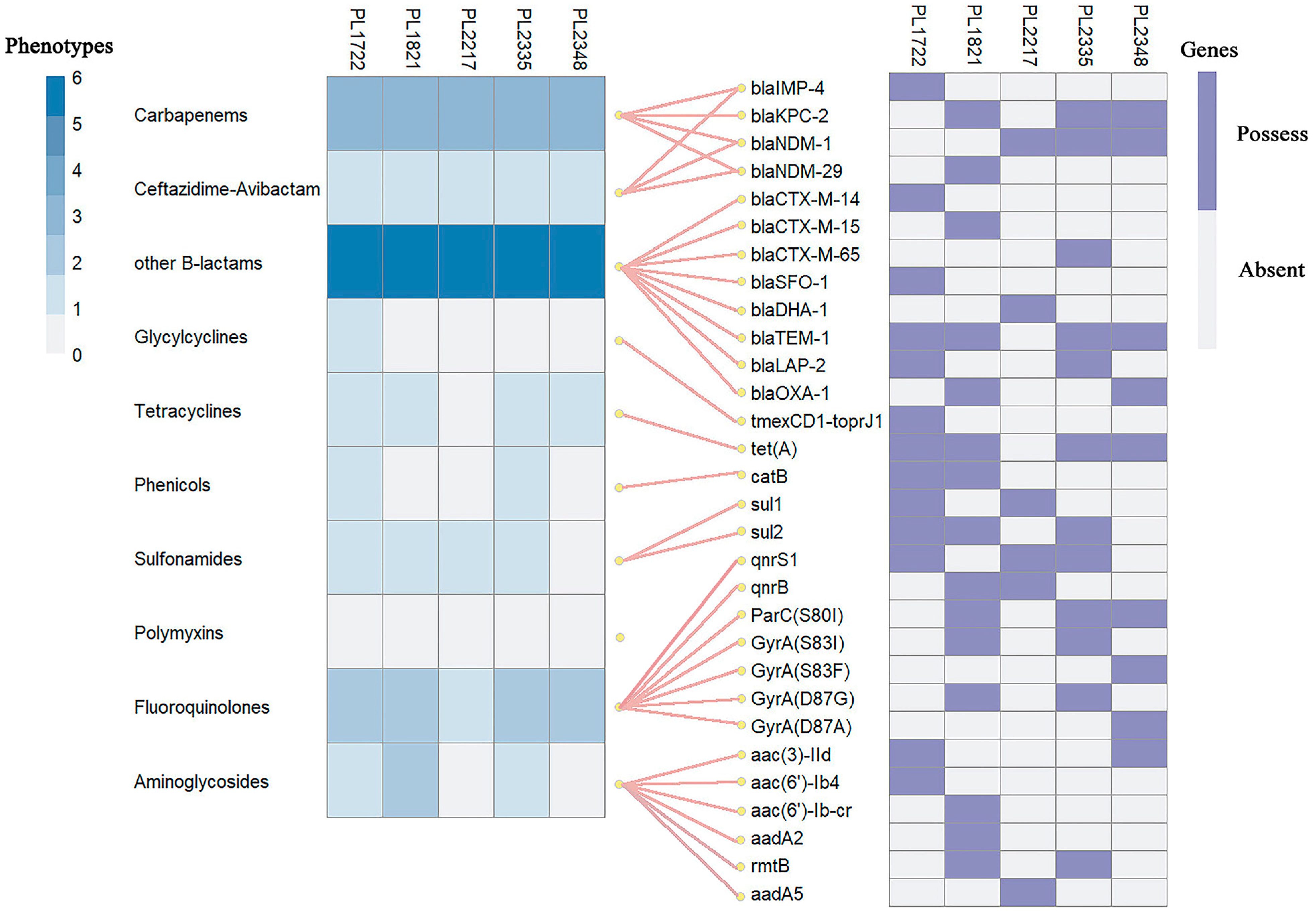 Pathogens 14 00253 g002