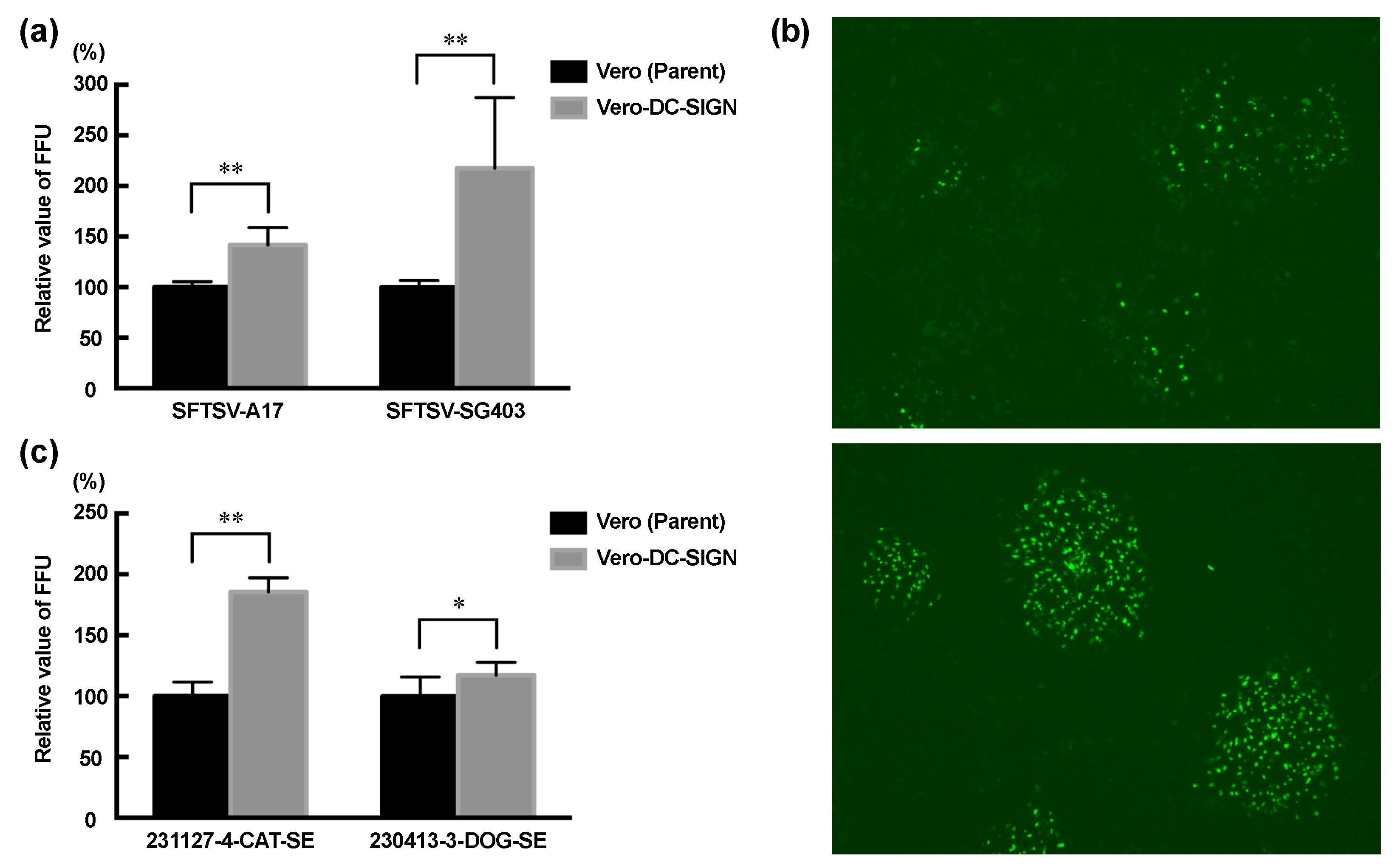 Pathogens 14 00254 g002