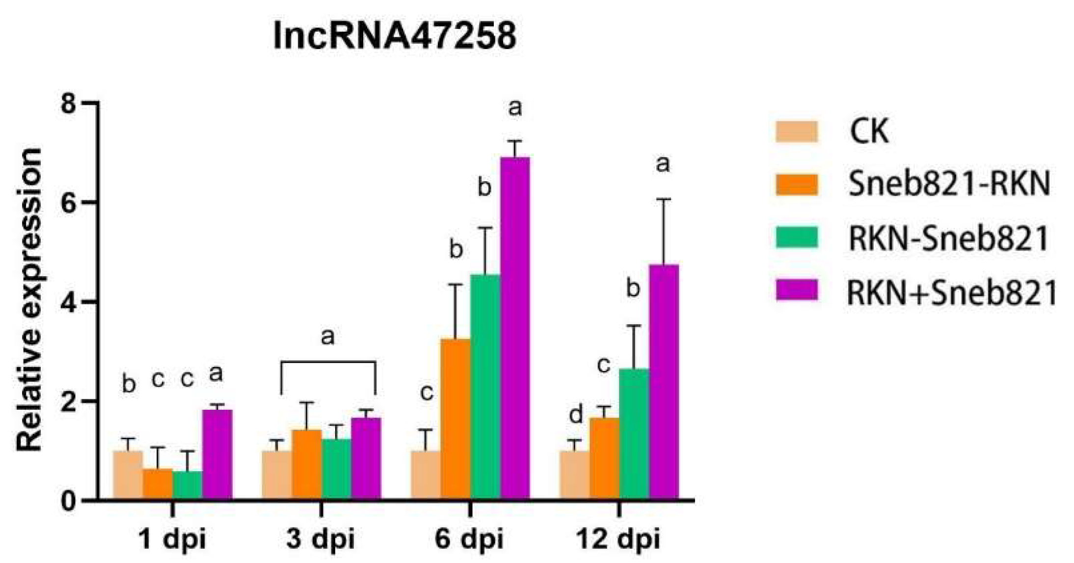 Pathogens 14 00256 g001