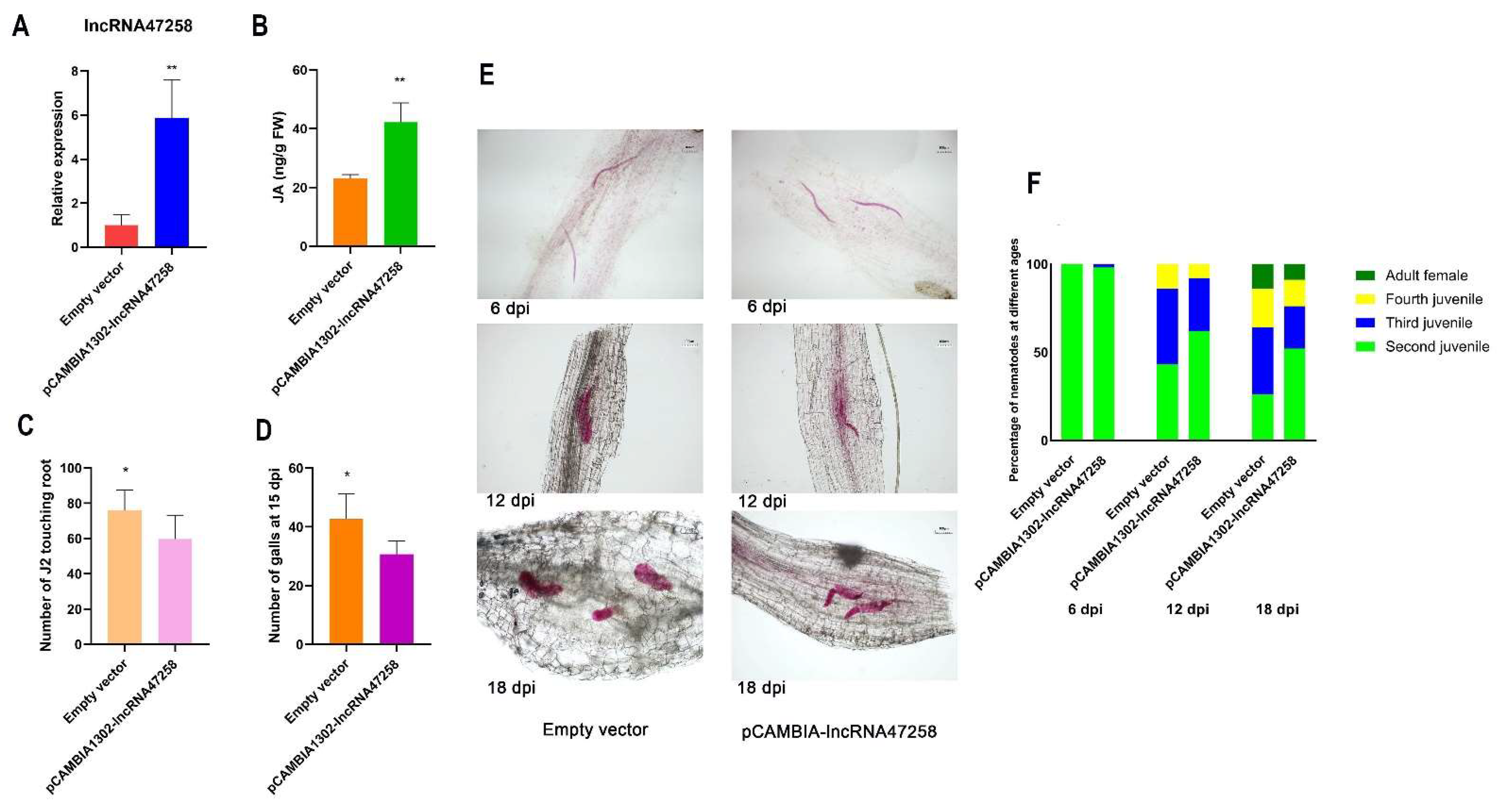 Pathogens 14 00256 g002