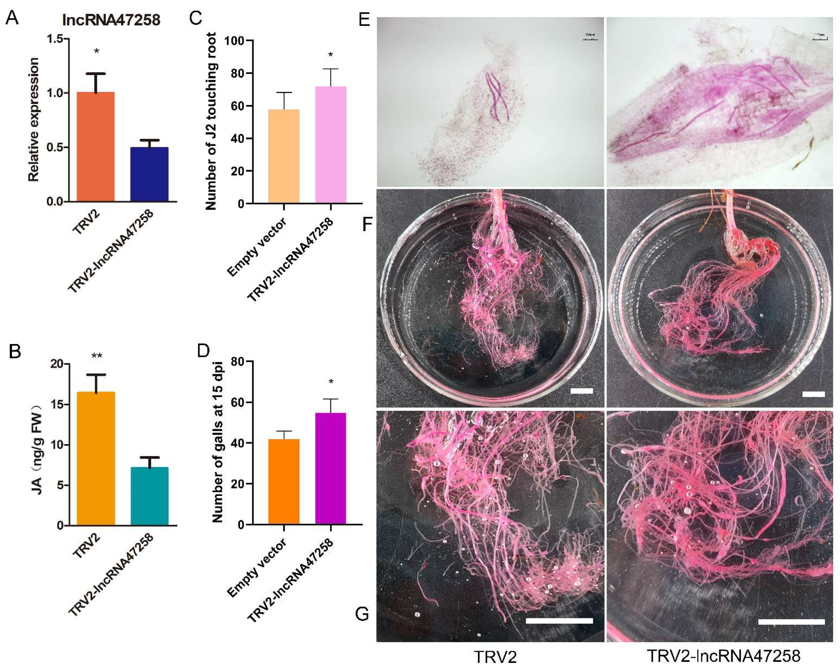 Pathogens 14 00256 g003