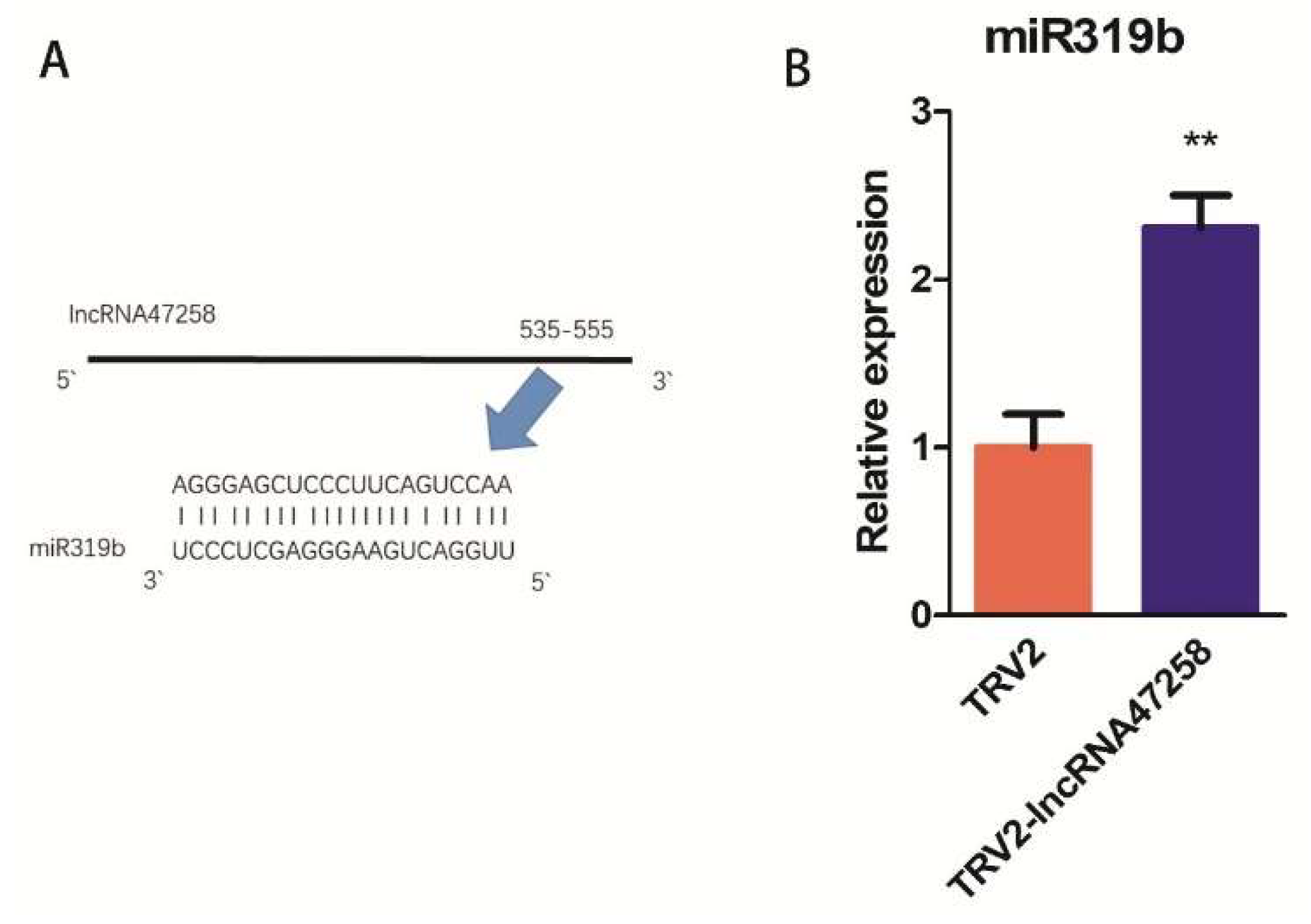 Pathogens 14 00256 g004