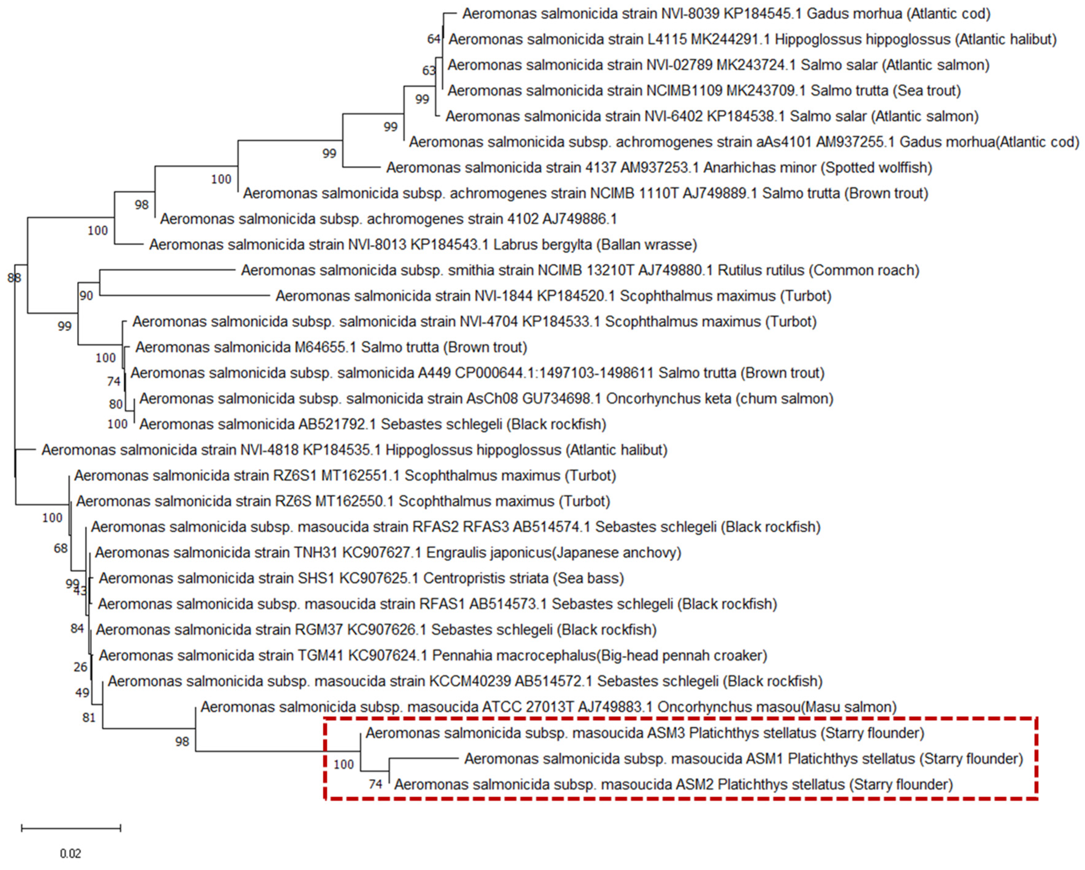 Pathogens 14 00257 g003