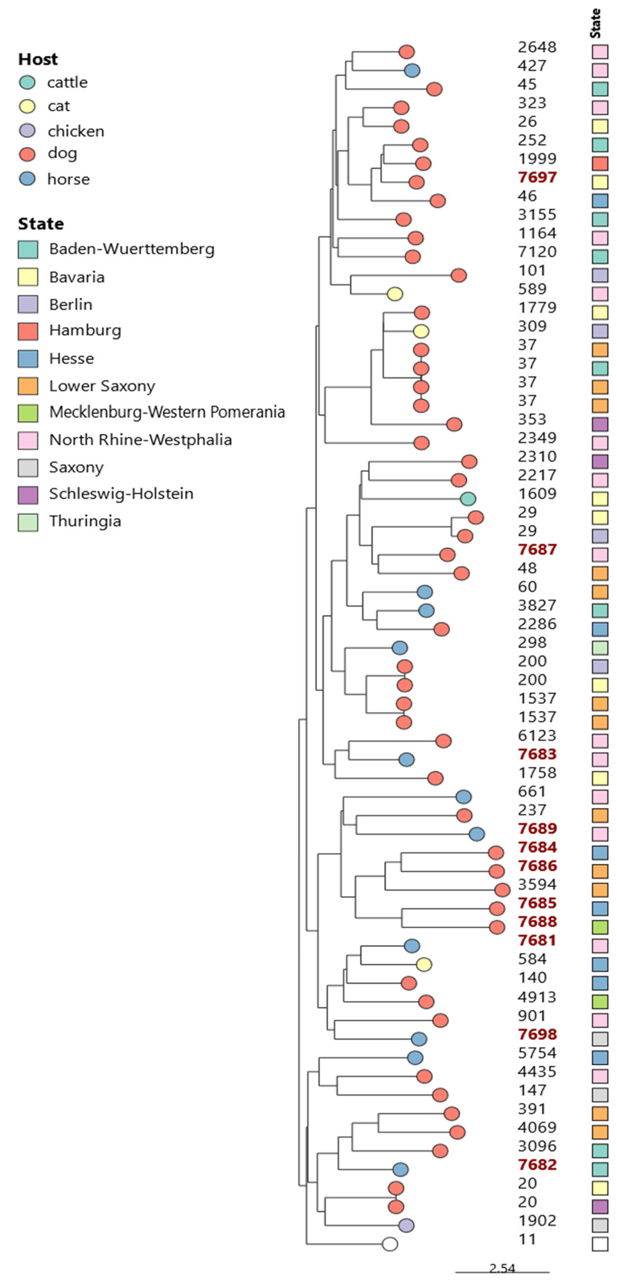 Pathogens 14 00259 g001